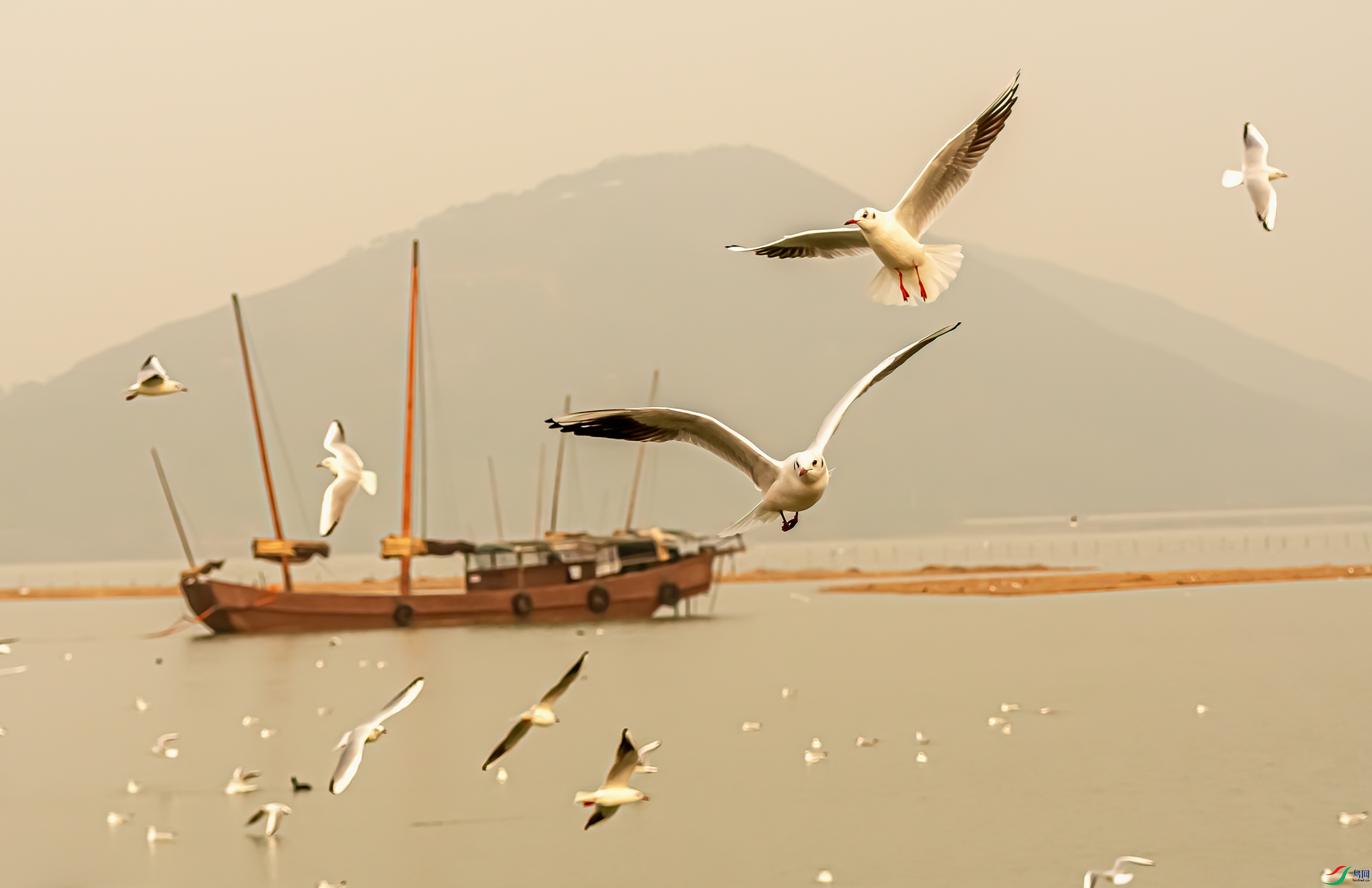 DSC_6600-1.jpg