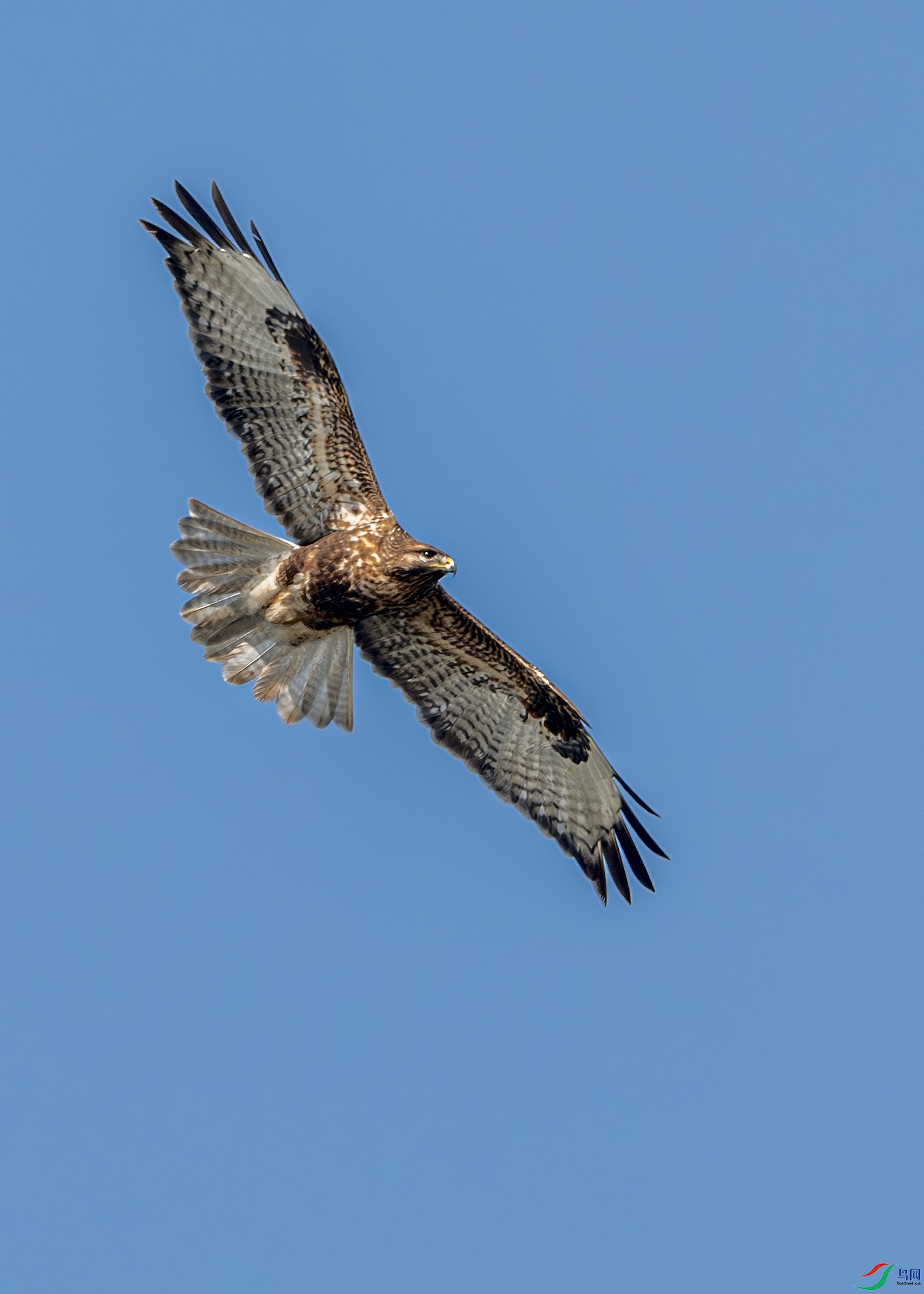 DSC_9438-����ǿ-NR-1 ����.jpg