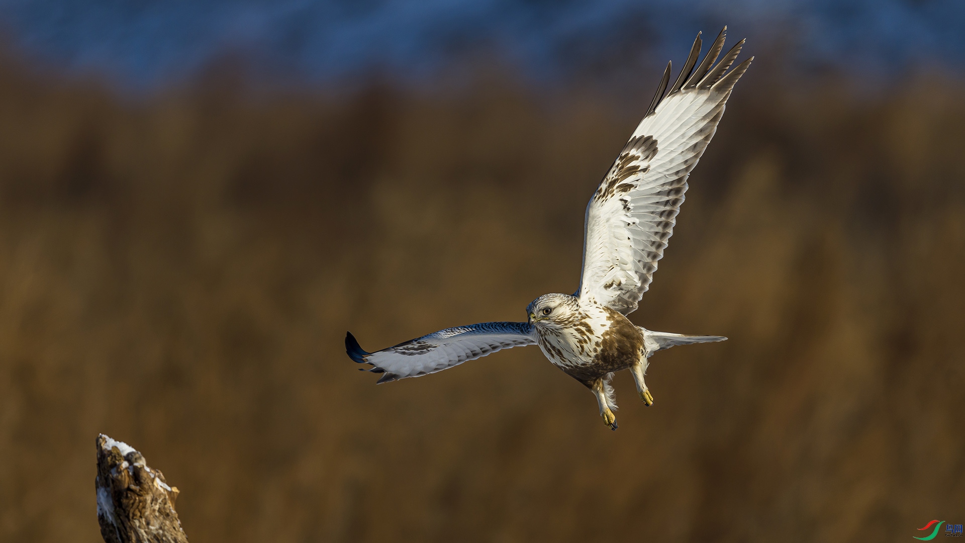 051A3647 ����n.jpg