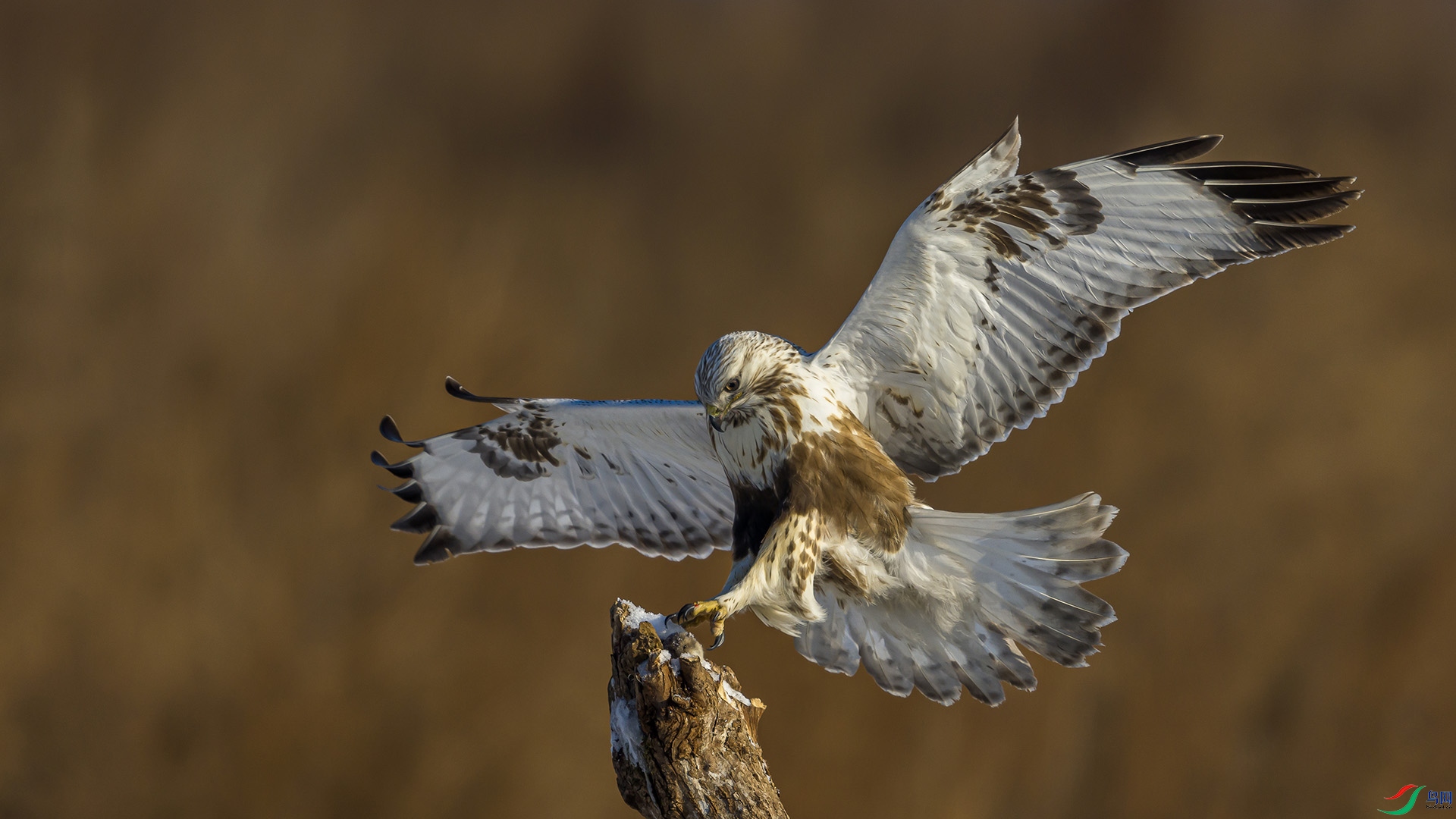 051A3651 ����n.jpg