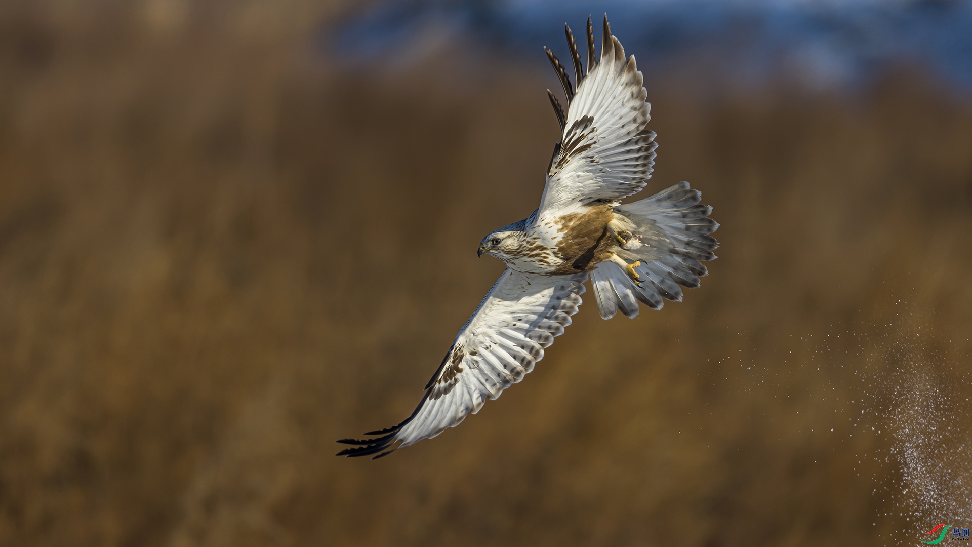 051A3657 ����n.jpg