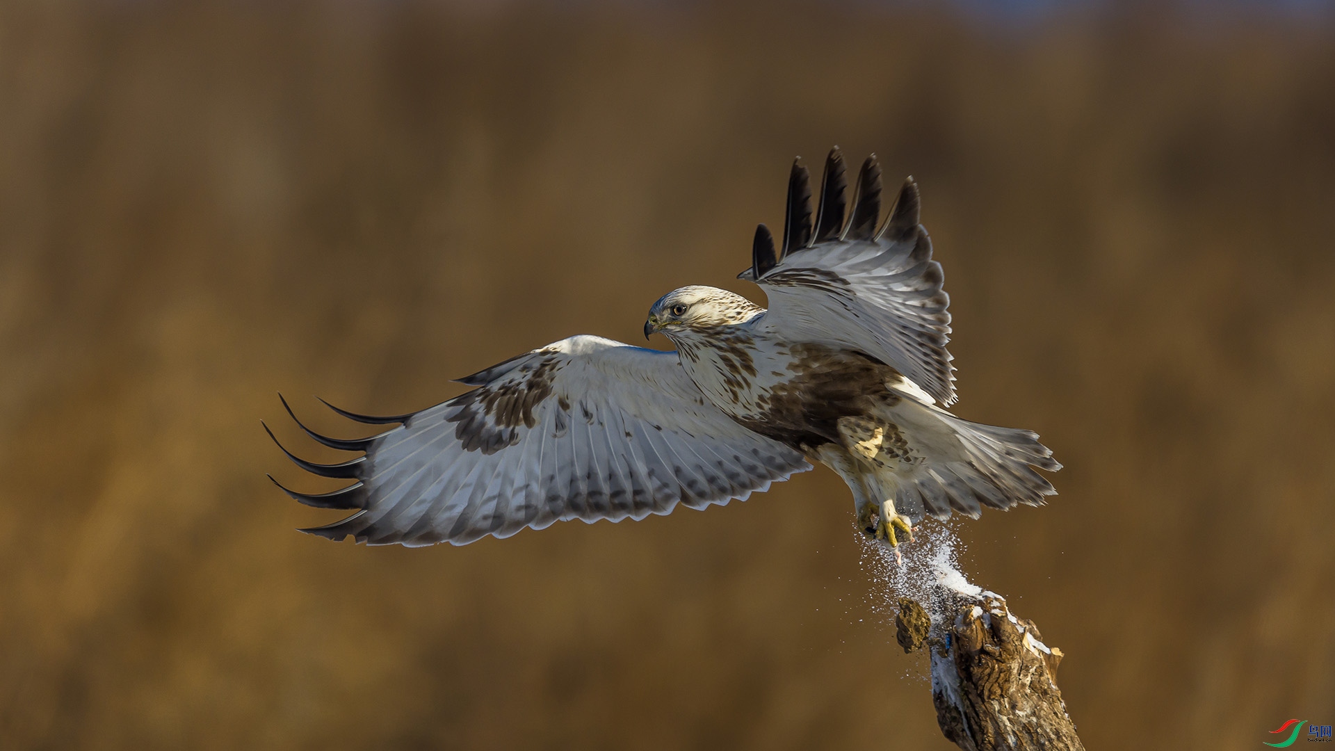 051A3653 ����n.jpg