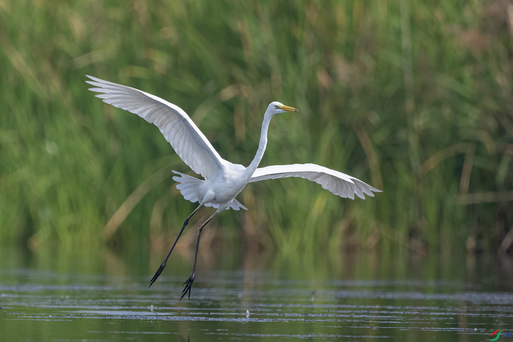 DSC_3517.jpg