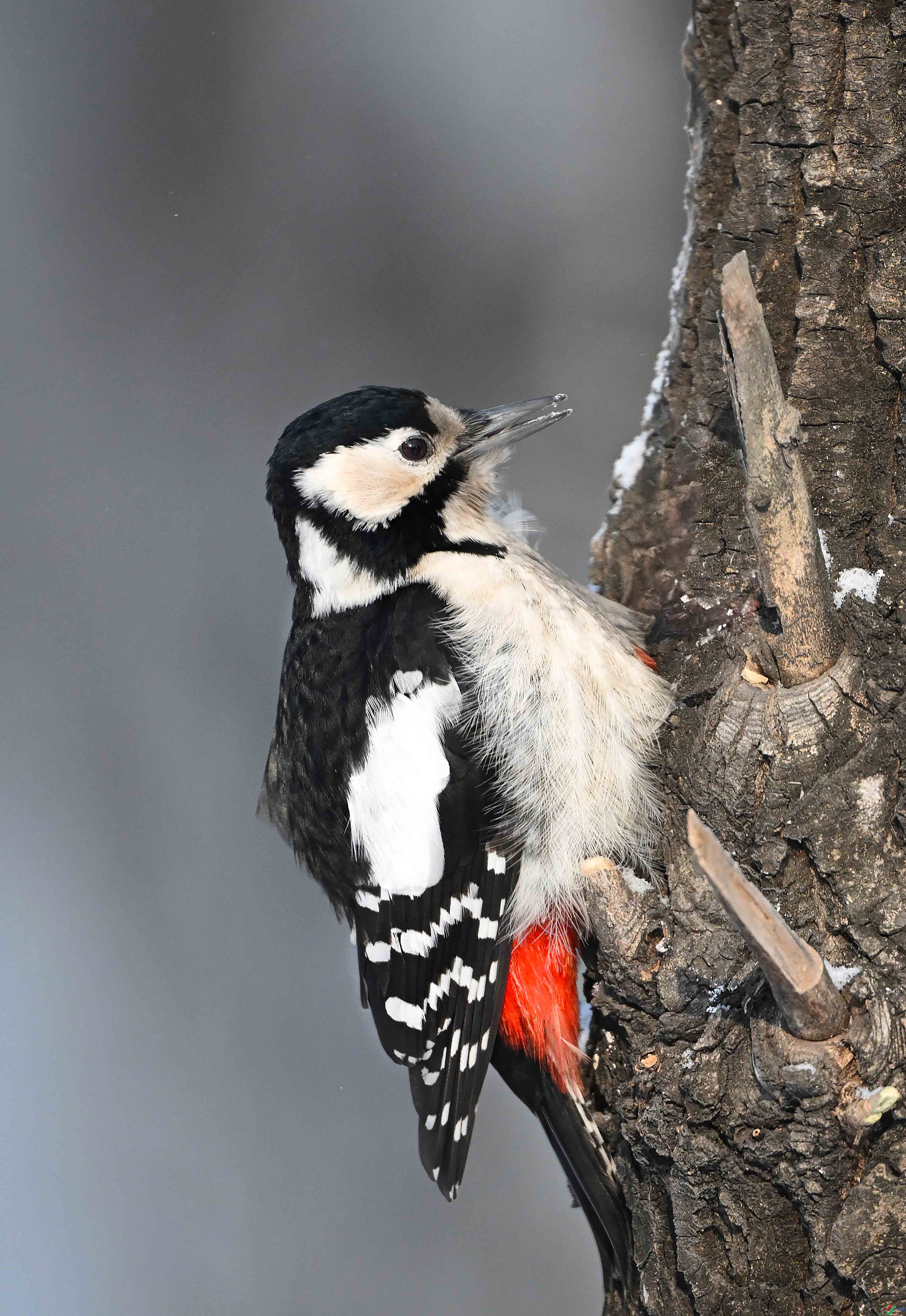 LWG_7547 ���� 2����.jpg