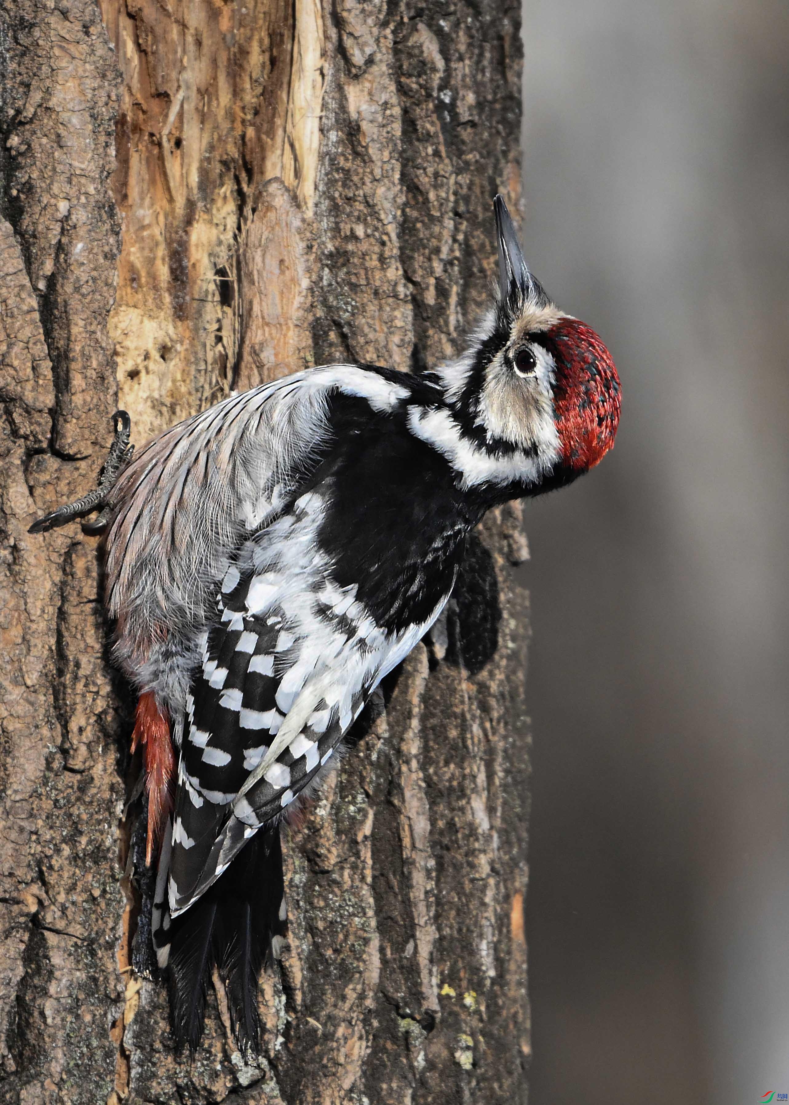 LWG_0890 ���� 2.jpg