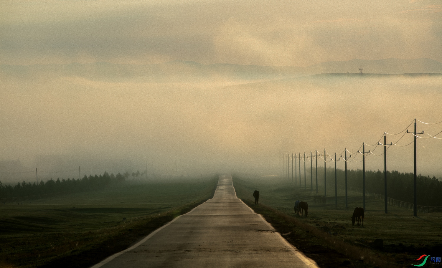 238A9114 ����.jpg