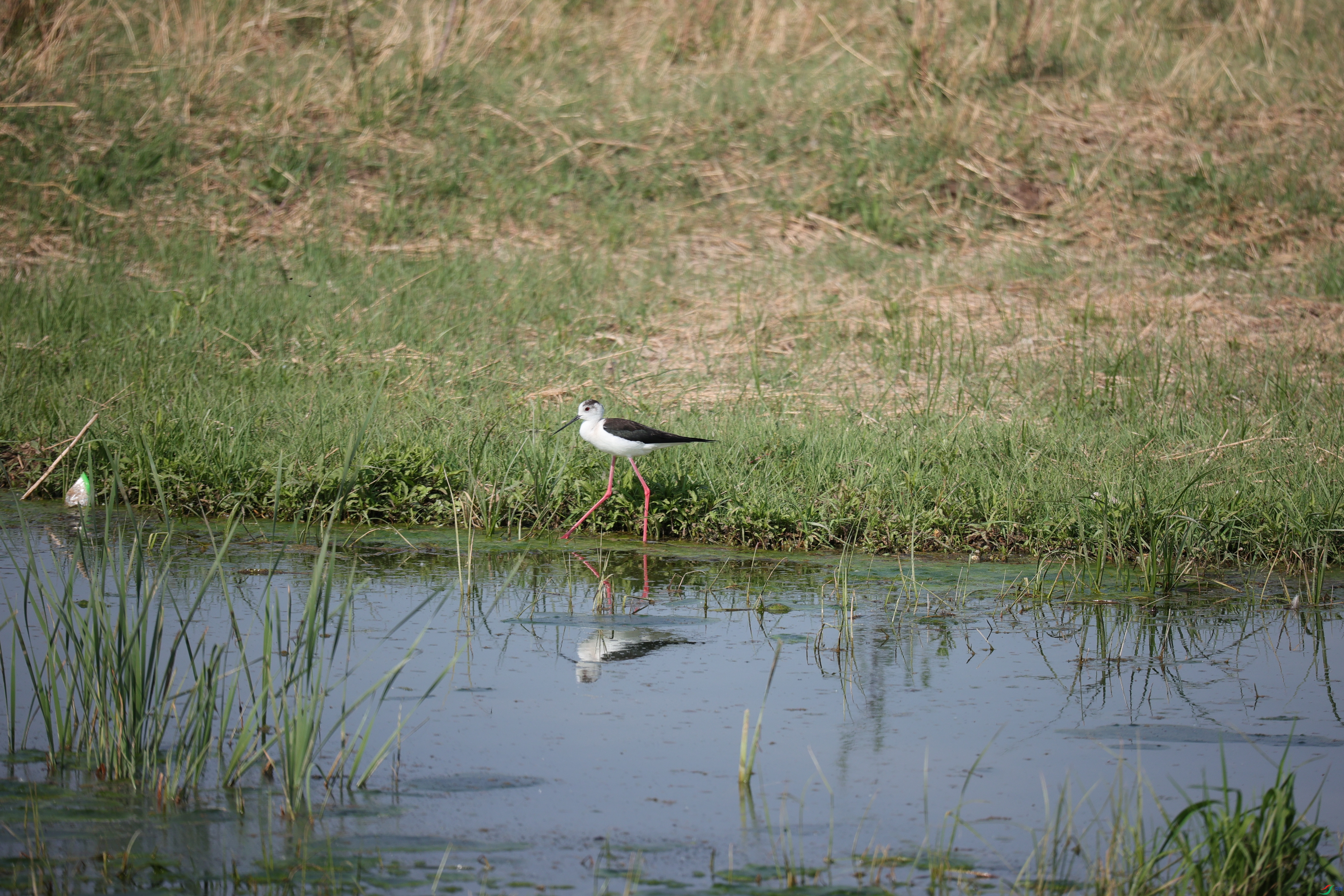 ����15