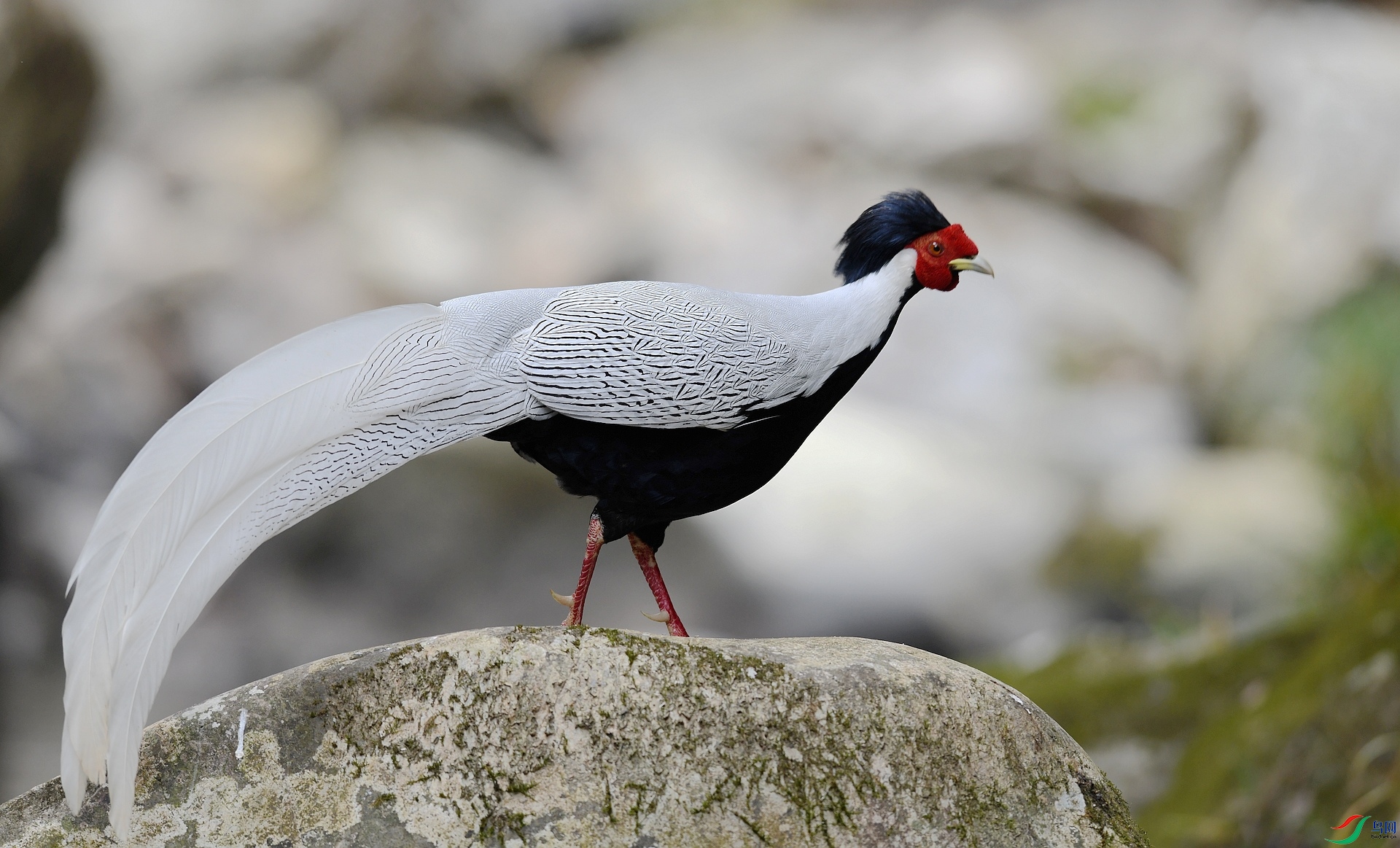 DSC_3672.jpg