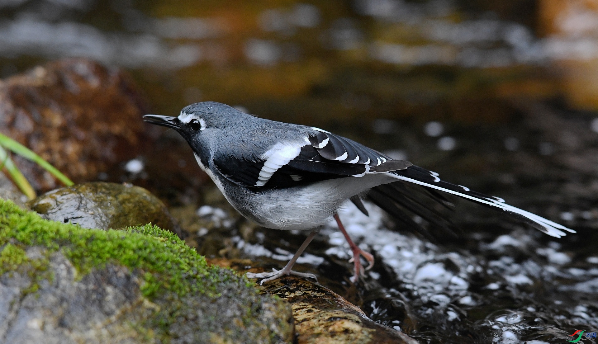 DSC_1104.jpg