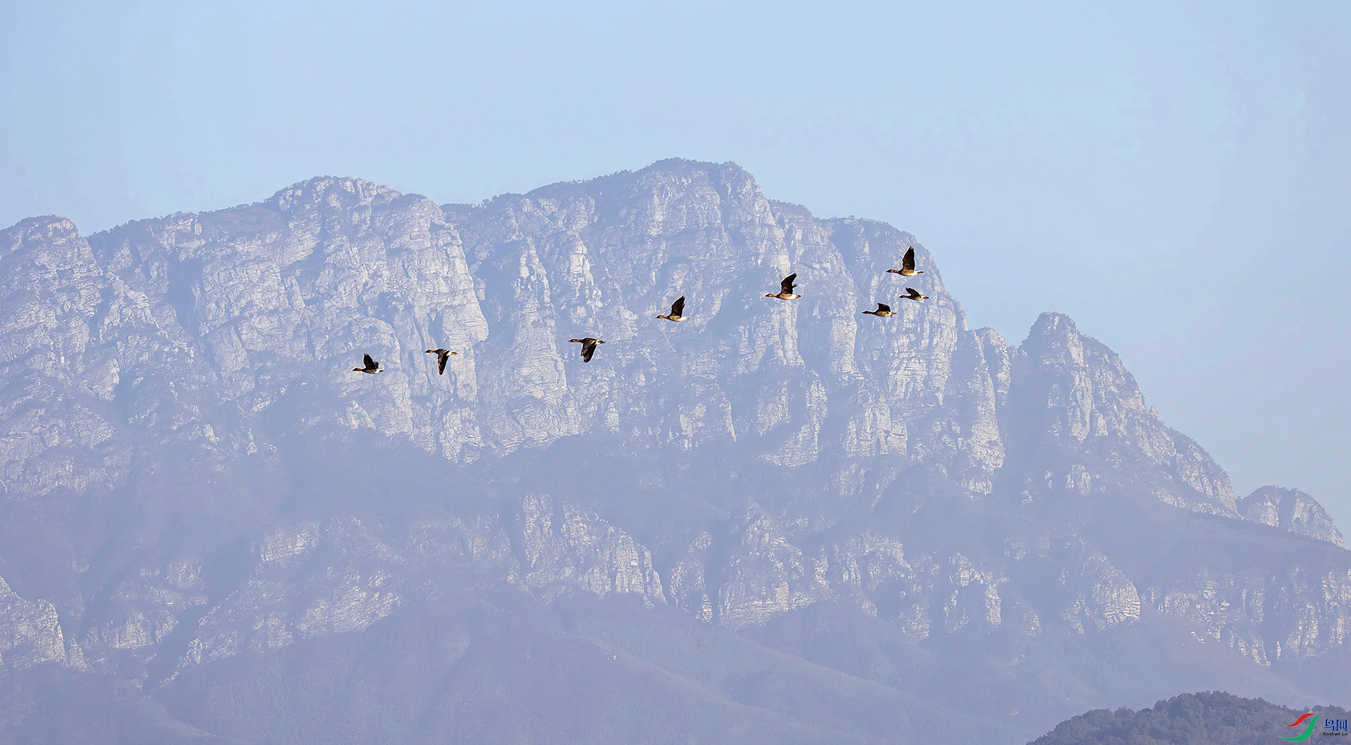 407A0786-----33  .jpg