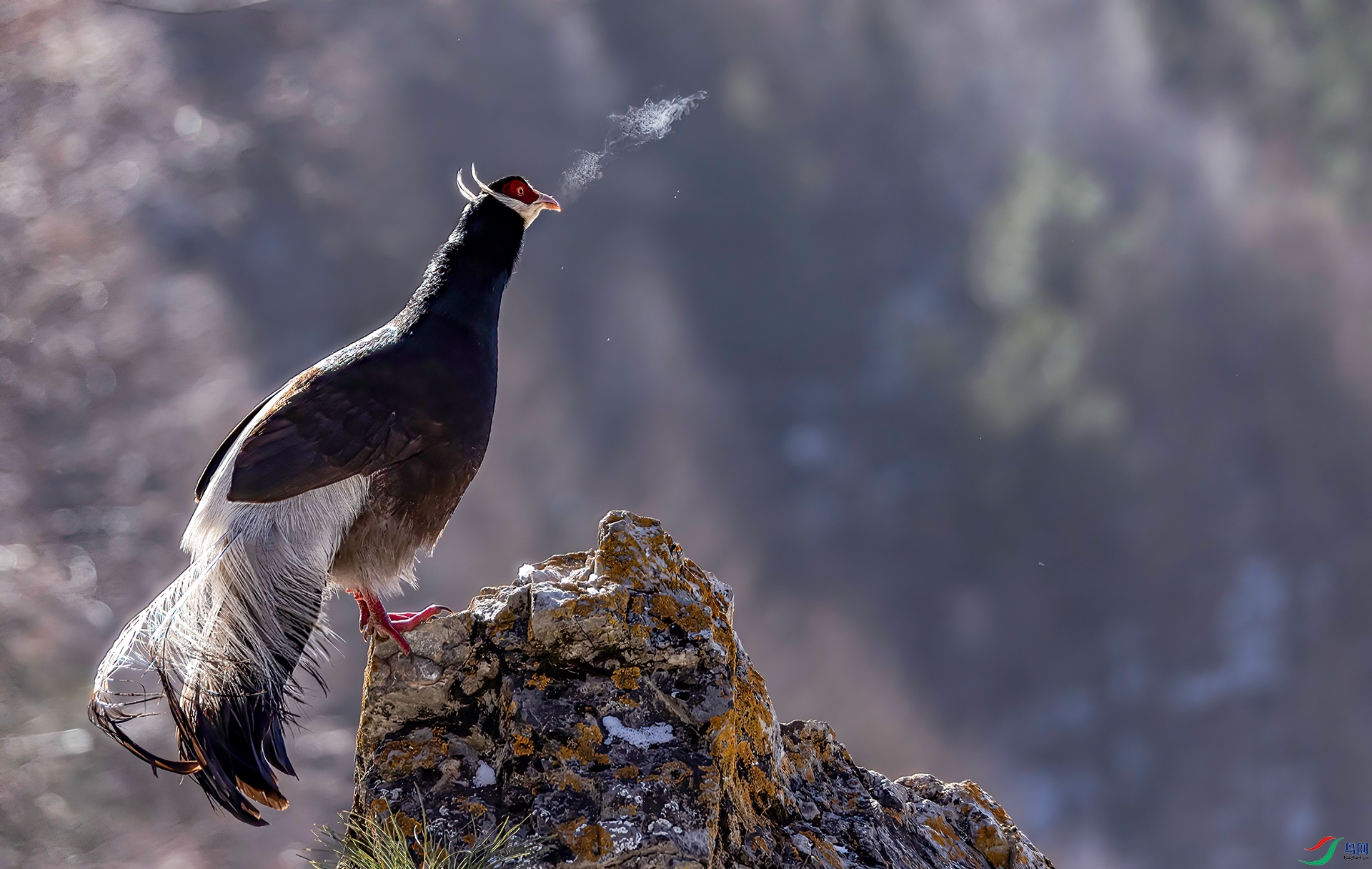 _07A3120 ����-Sh----1 .jpg