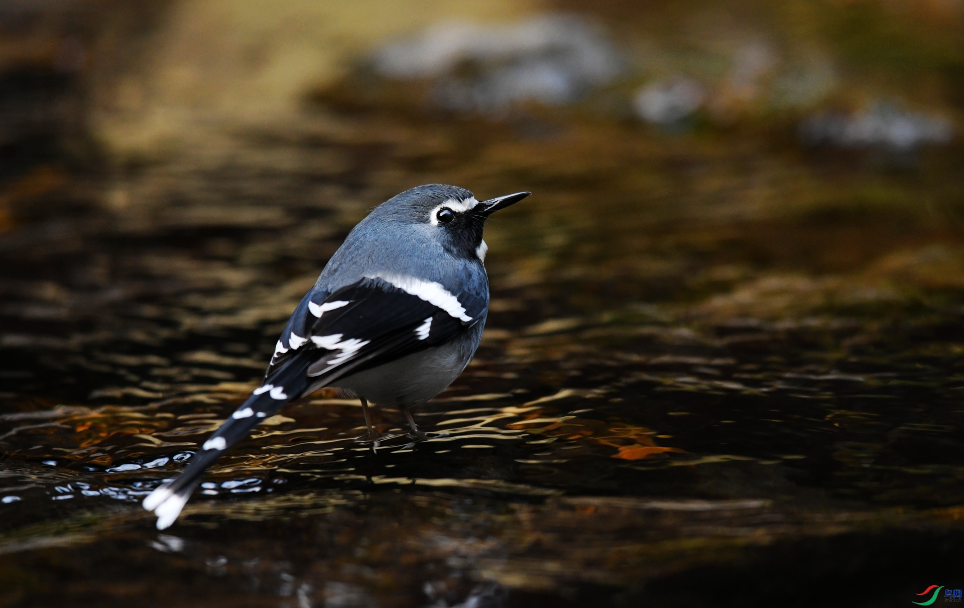 DSC_6842.jpg