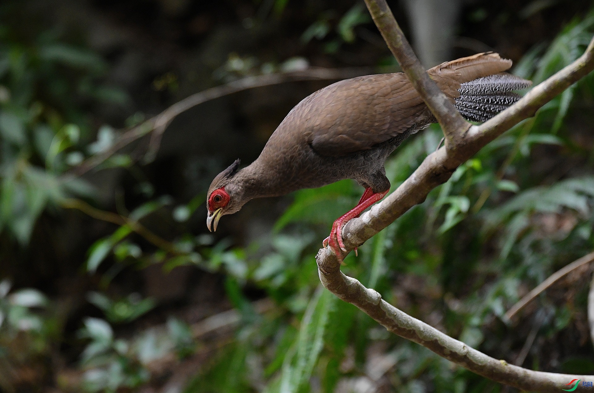 DSC_6061.jpg