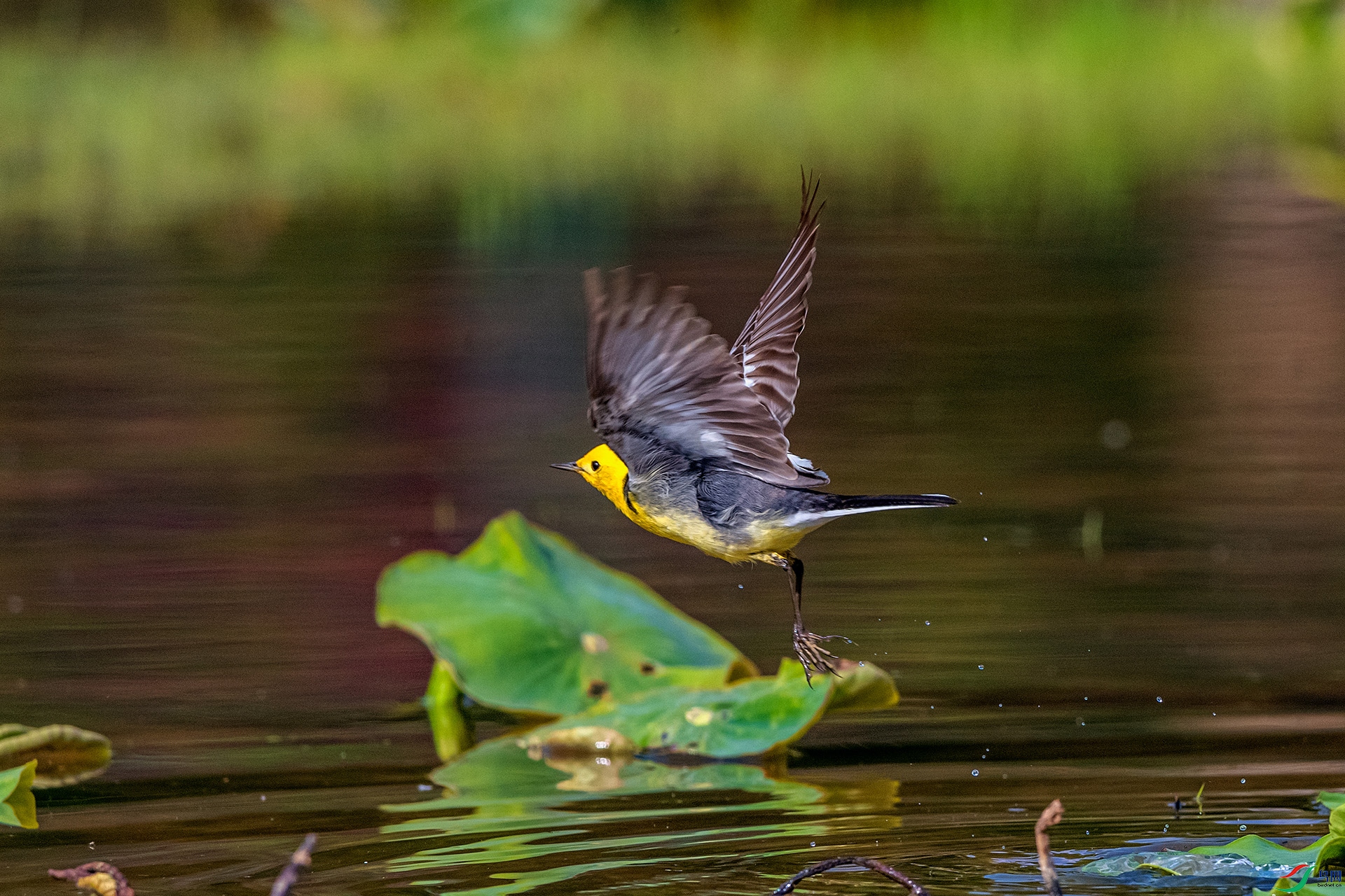 _AUU2977 ����(25.4.21).jpg