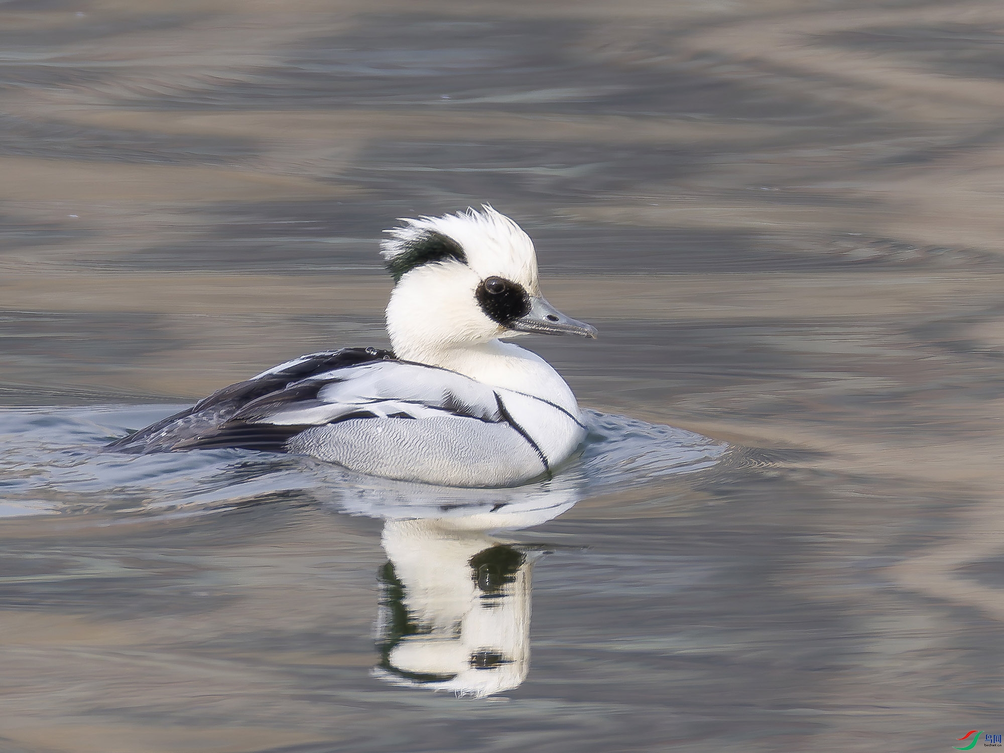 20260127-115A0319 ���� 2.jpg