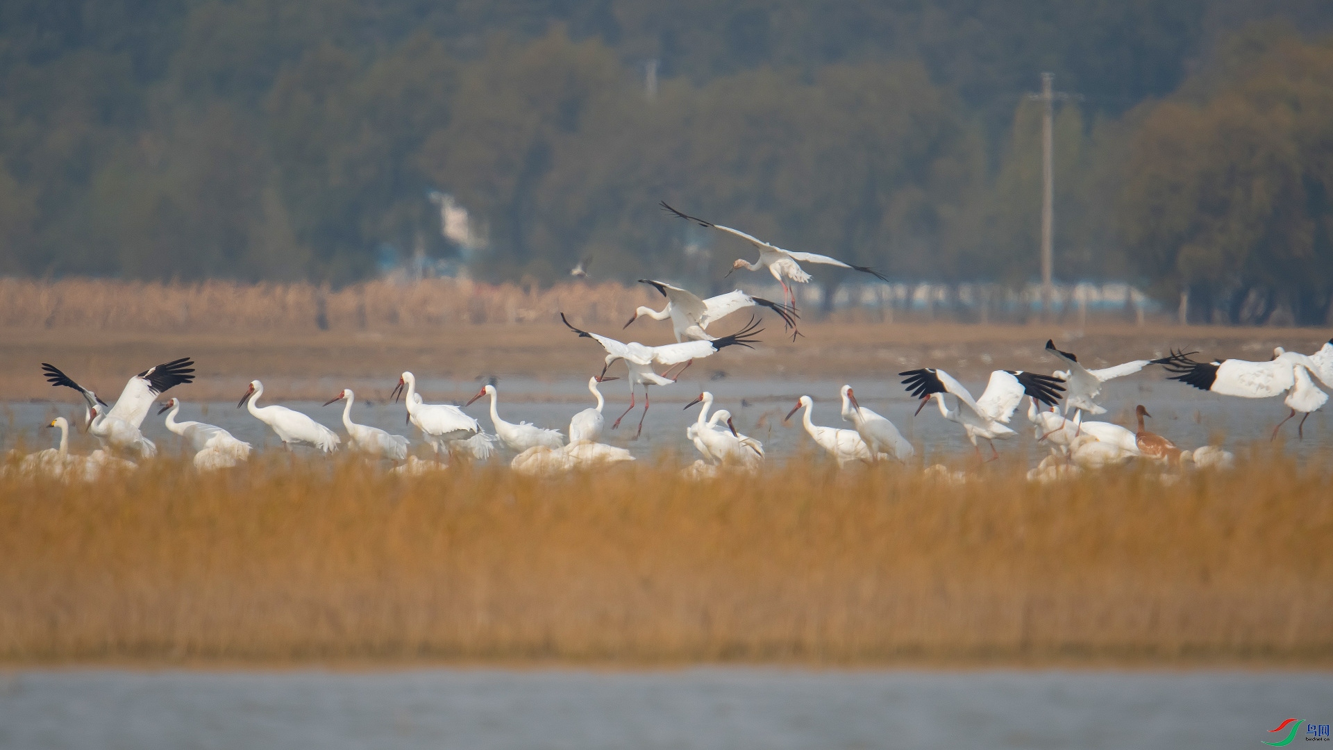 DSC_7560_01.JPG