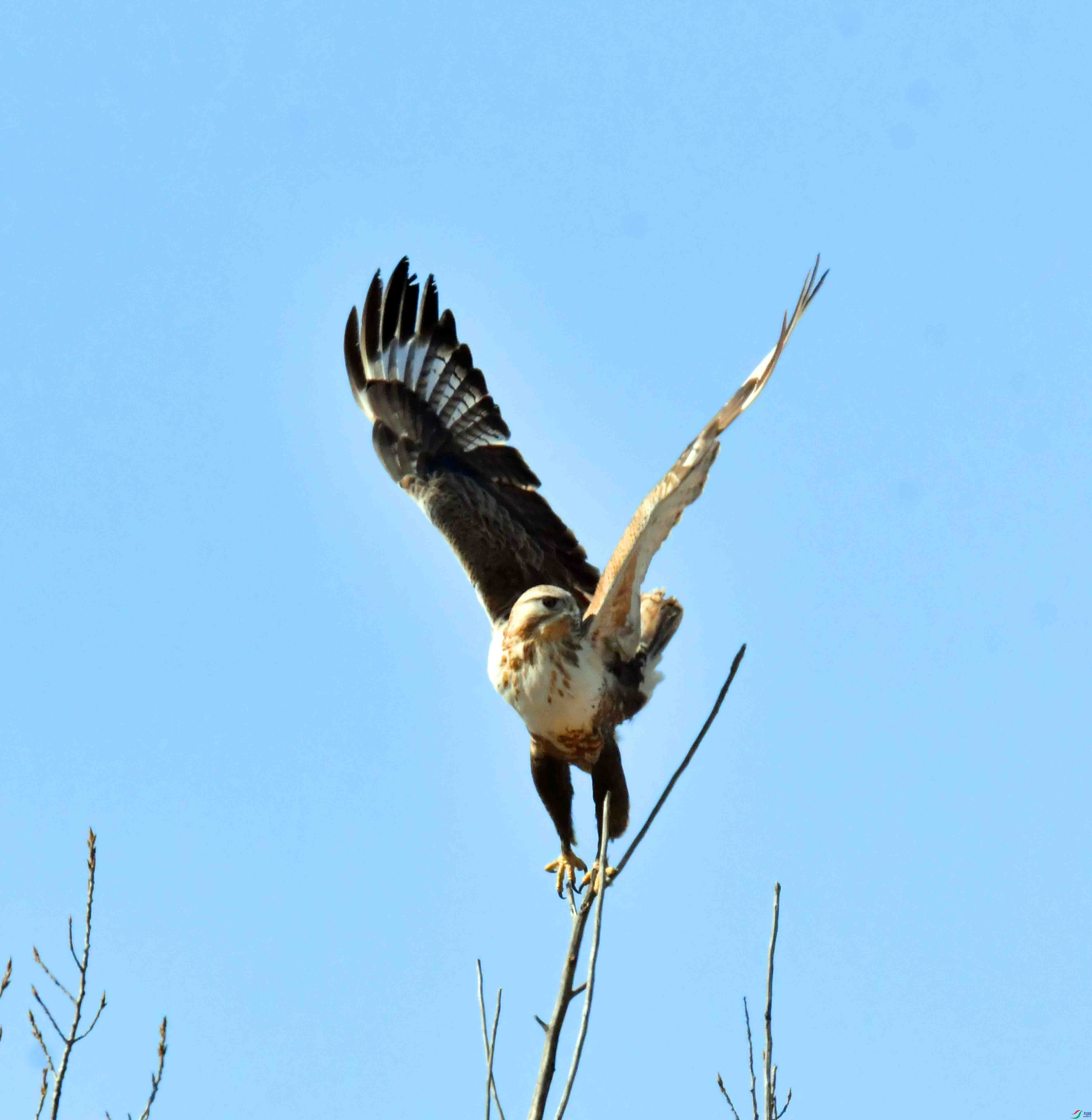 DSC_3938.JPG