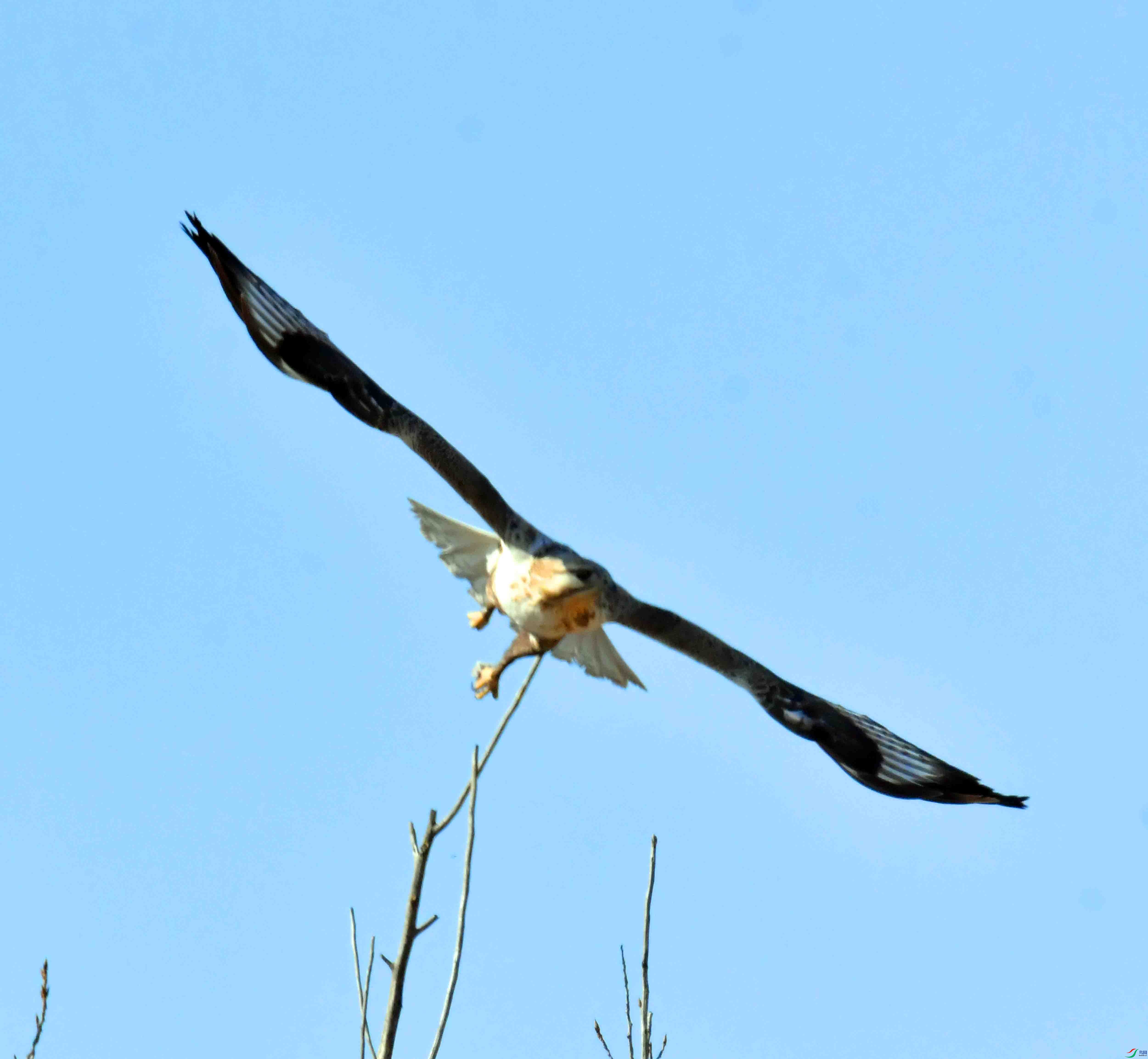 DSC_3941.JPG