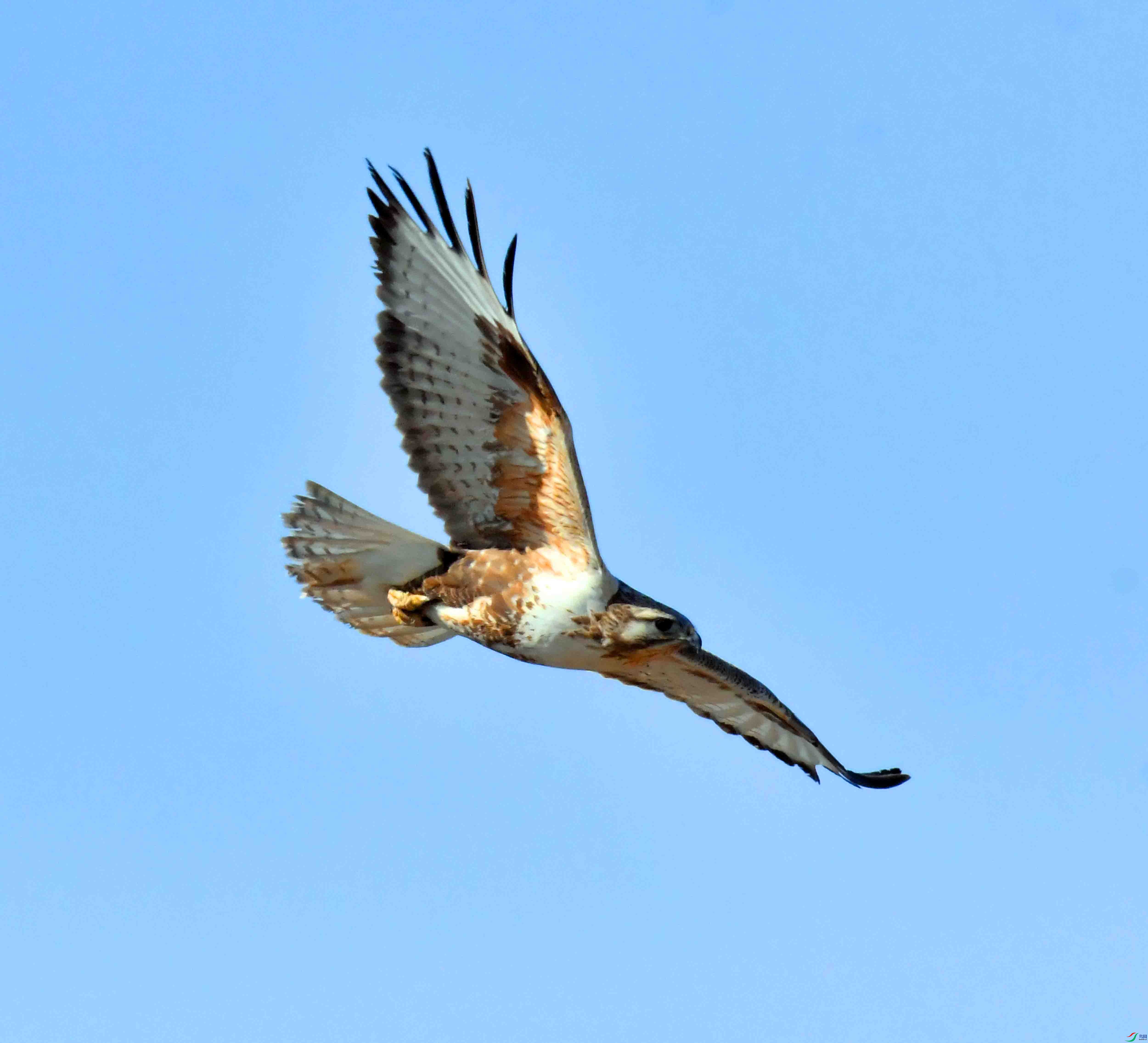 DSC_3946.JPG
