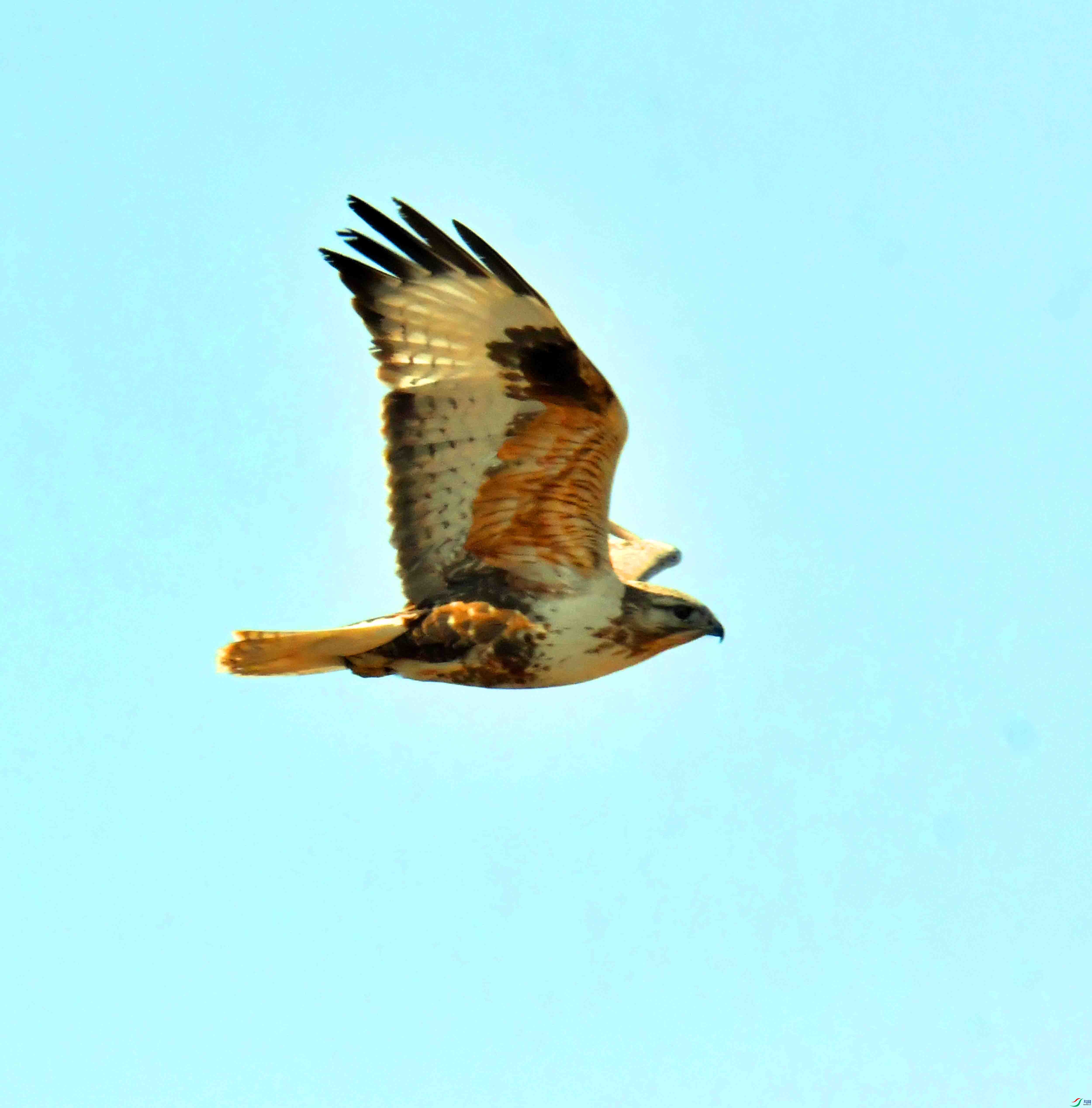 DSC_3947.JPG