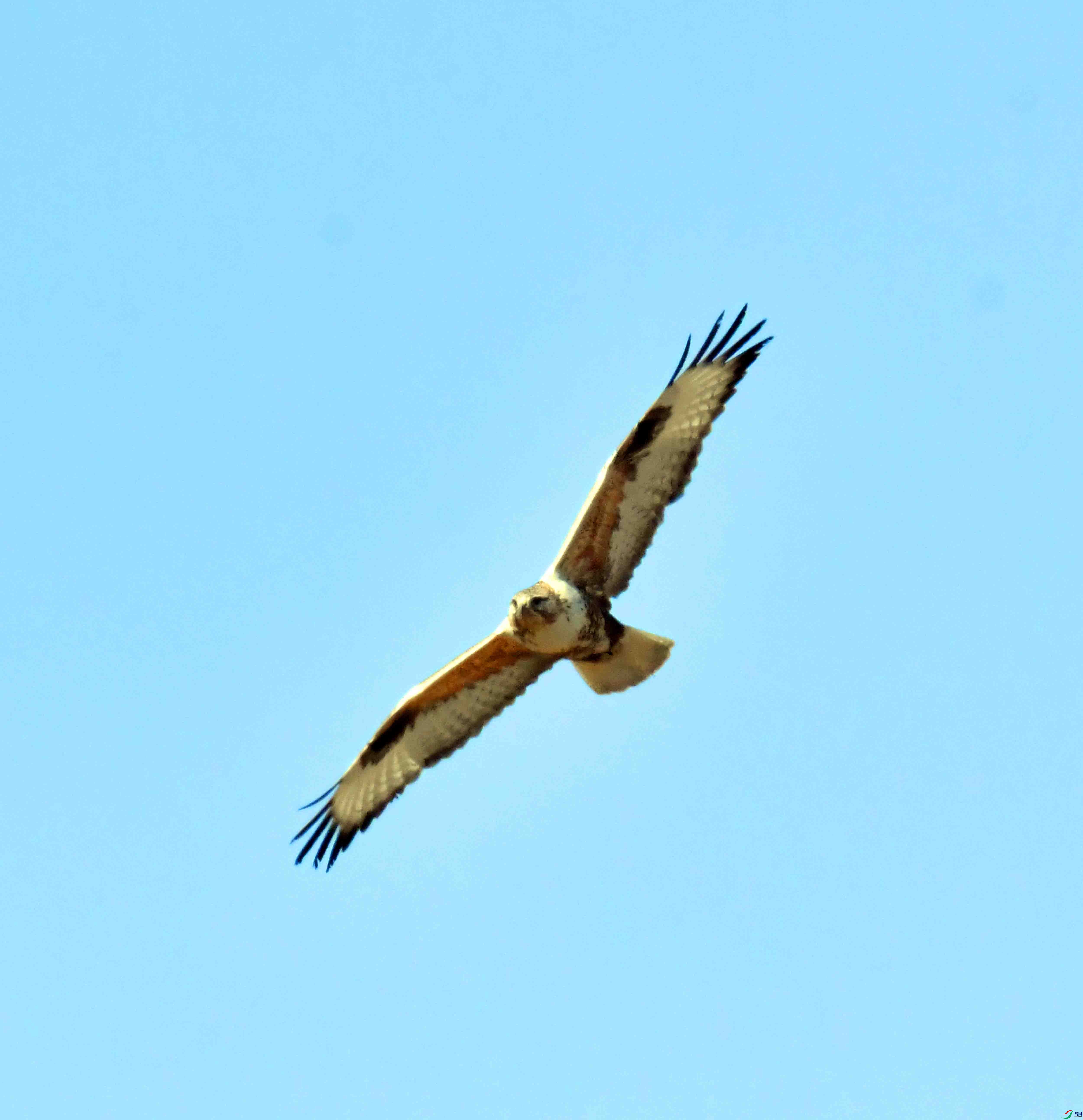 DSC_3965.JPG