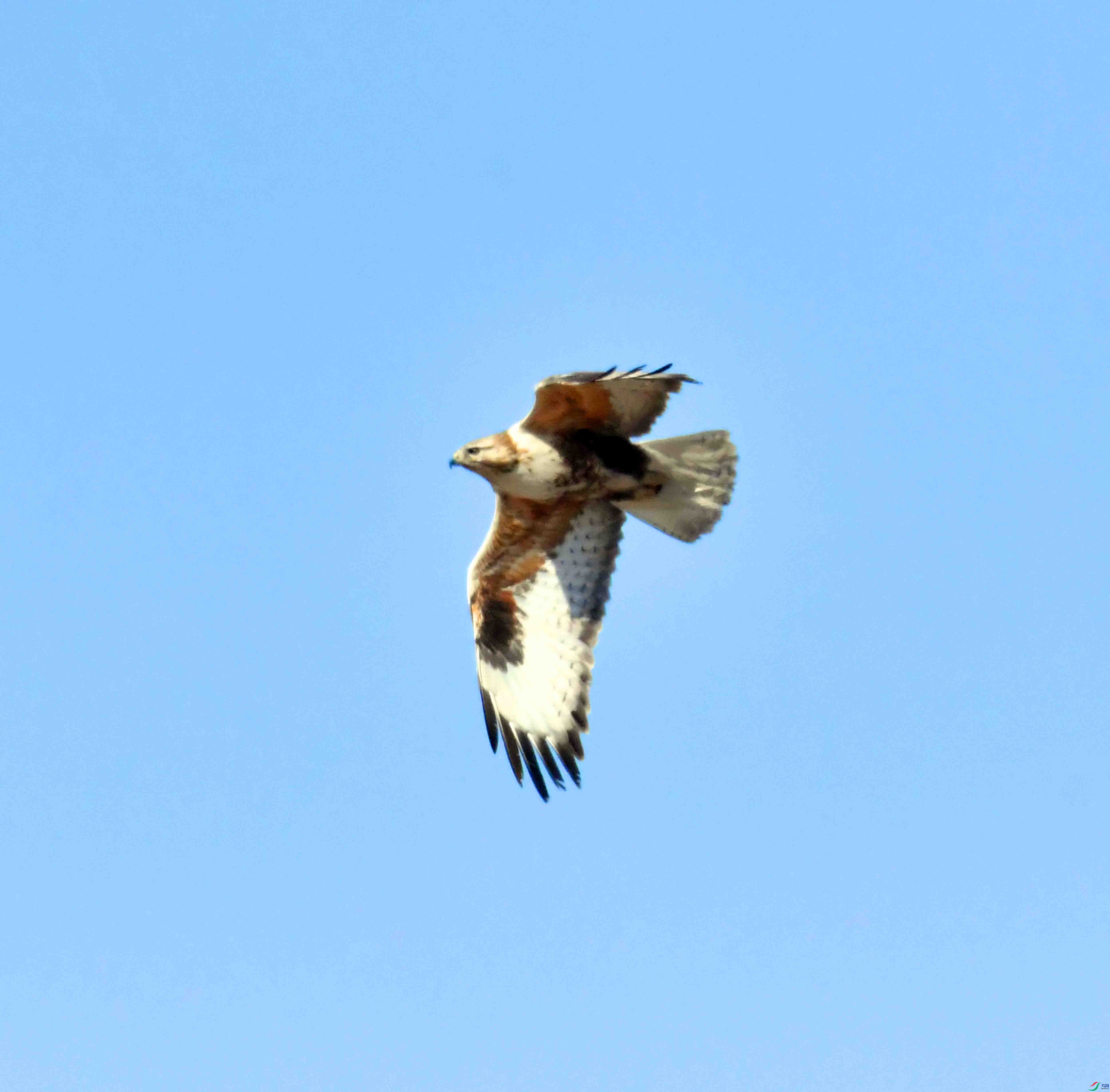 DSC_3969.JPG