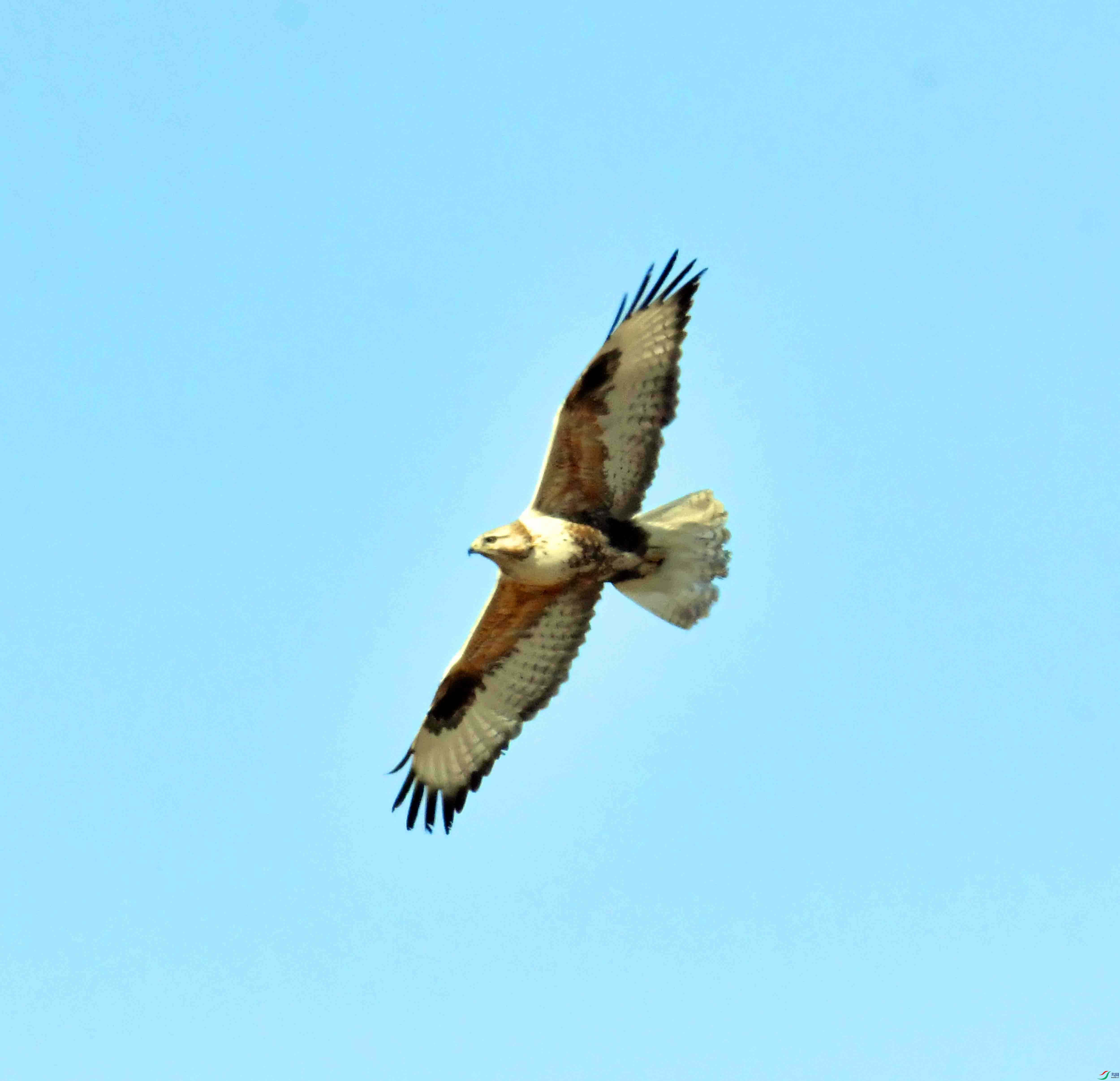 DSC_3968.JPG