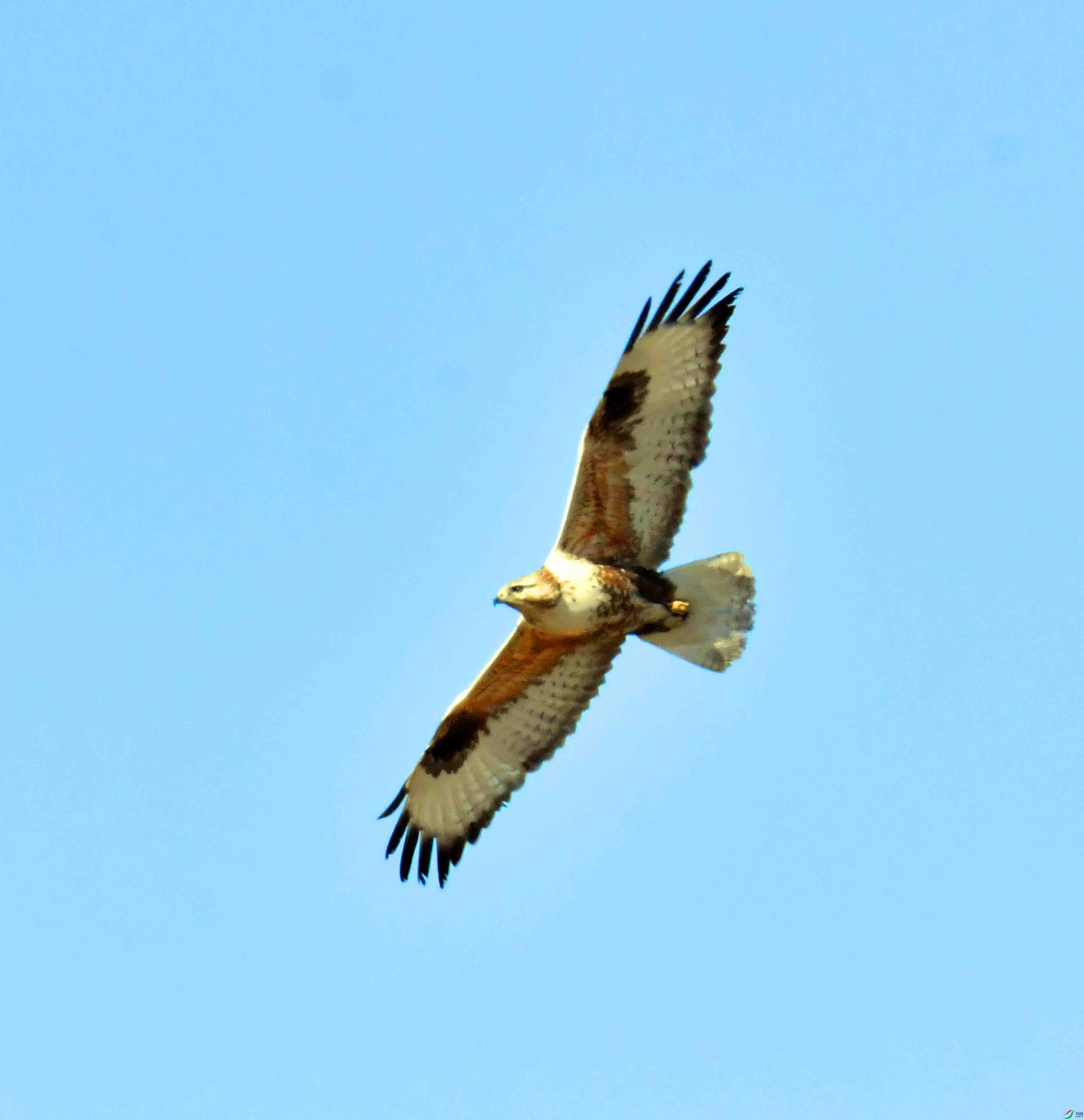 DSC_3967.JPG