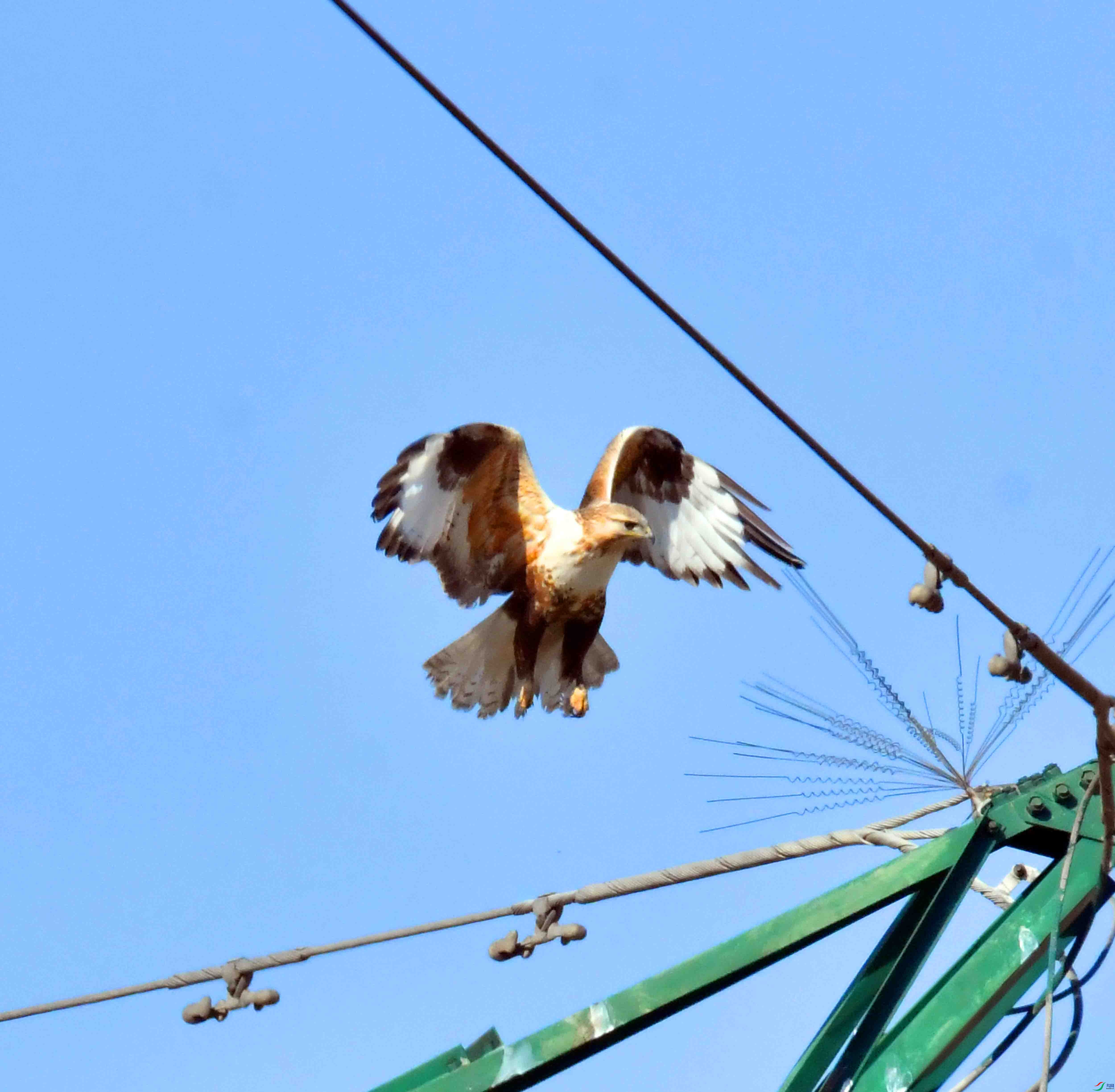DSC_3980.JPG