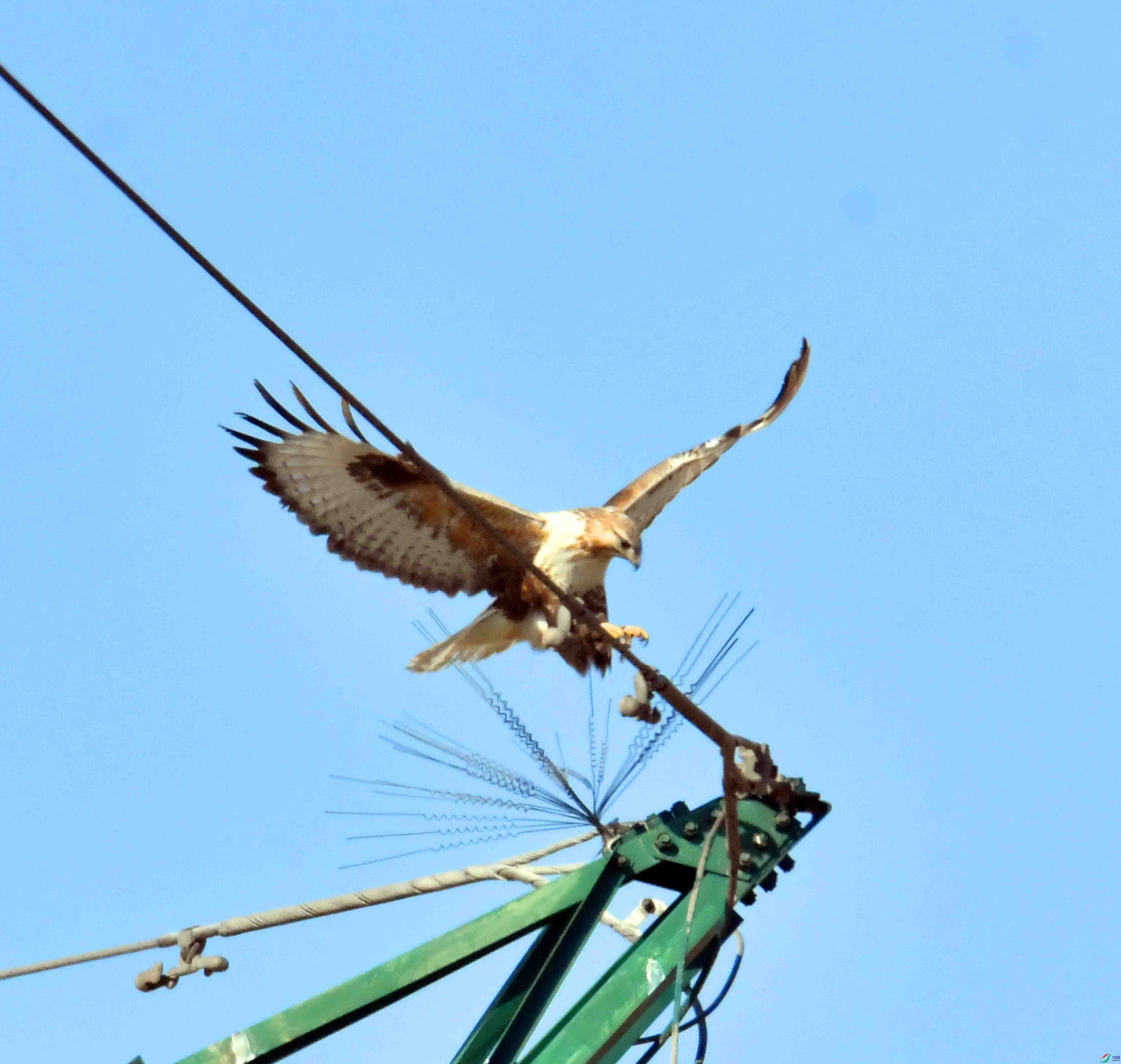 DSC_3983.JPG