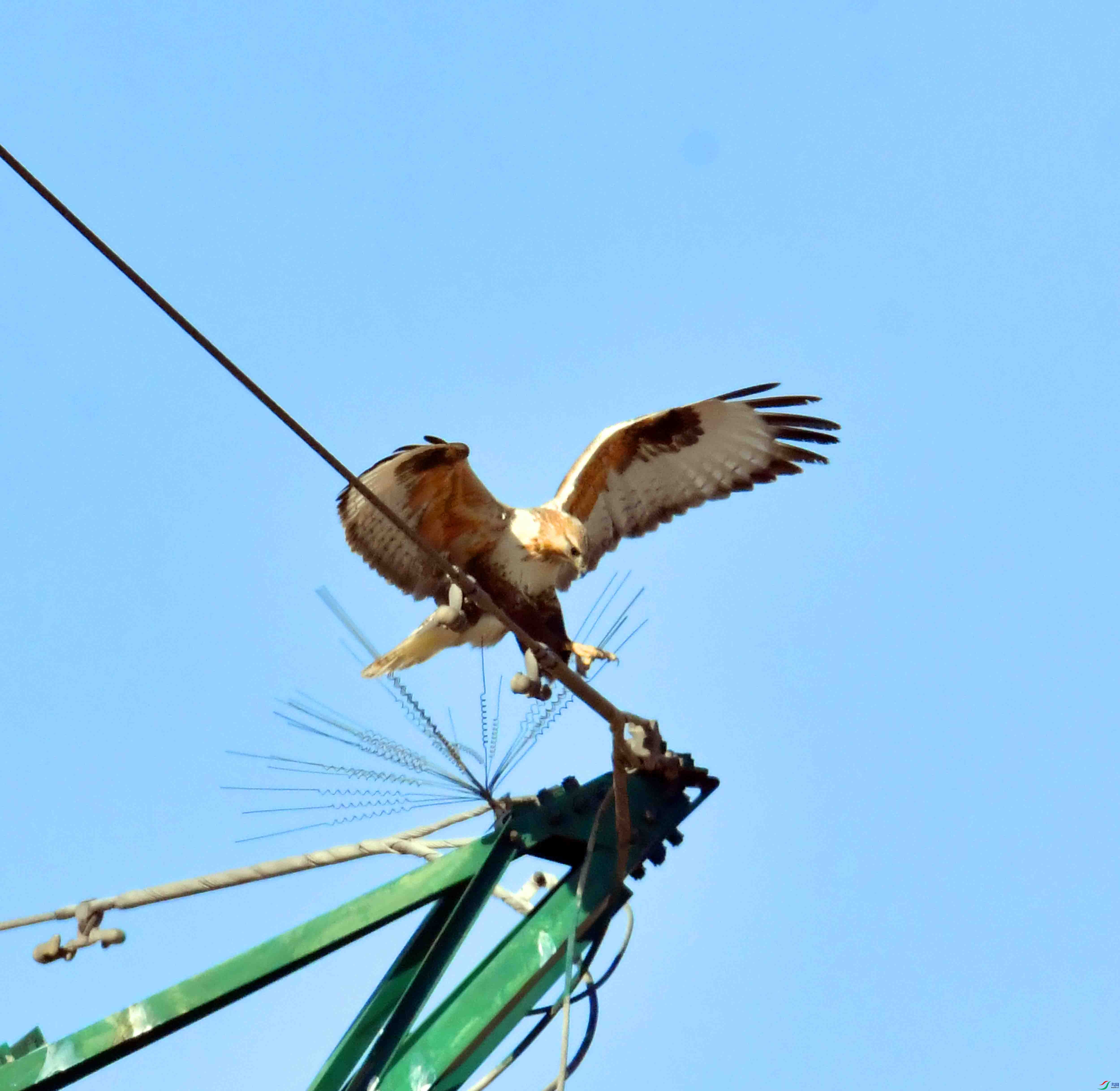DSC_3984.JPG