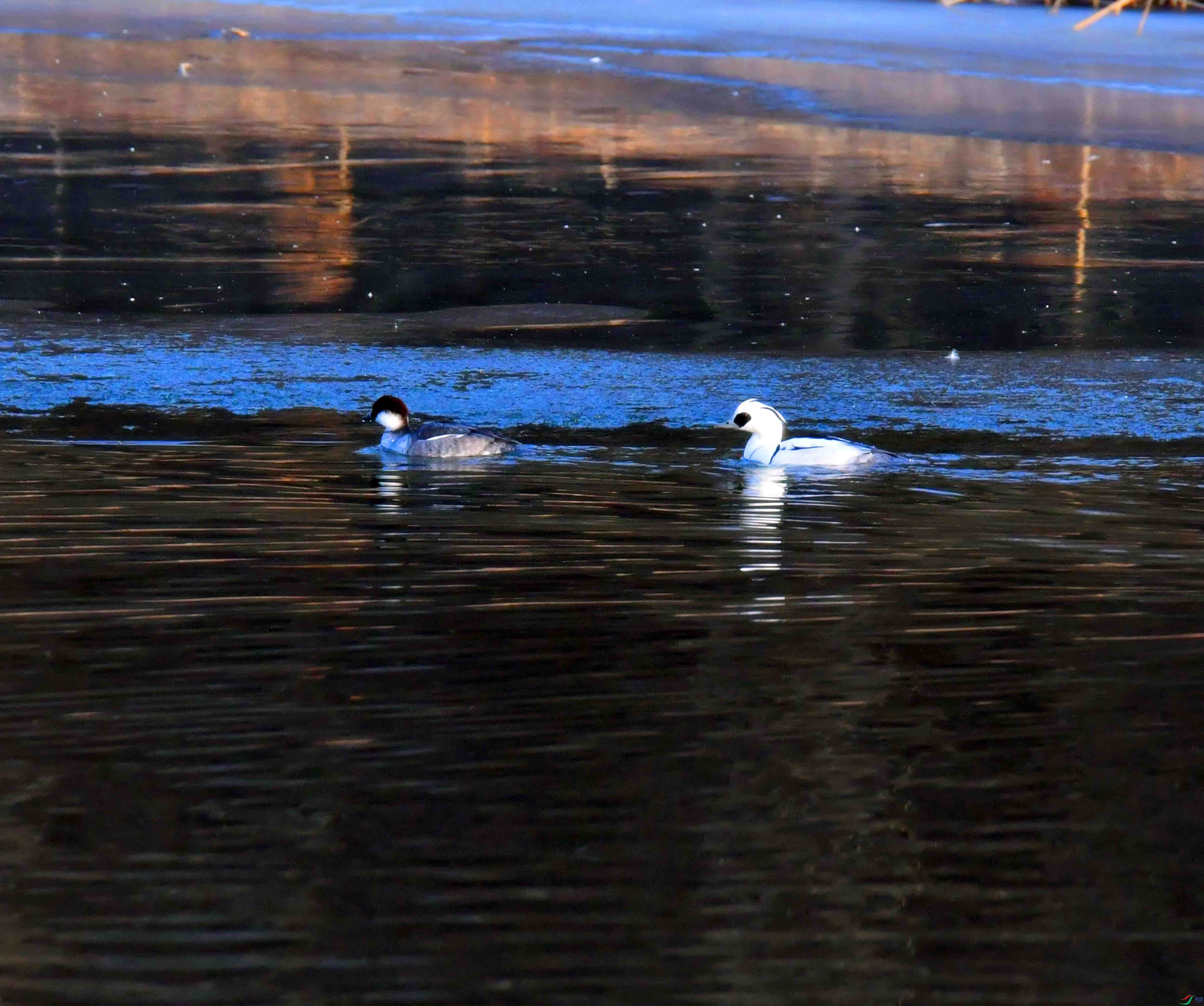 DSC_3901.JPG
