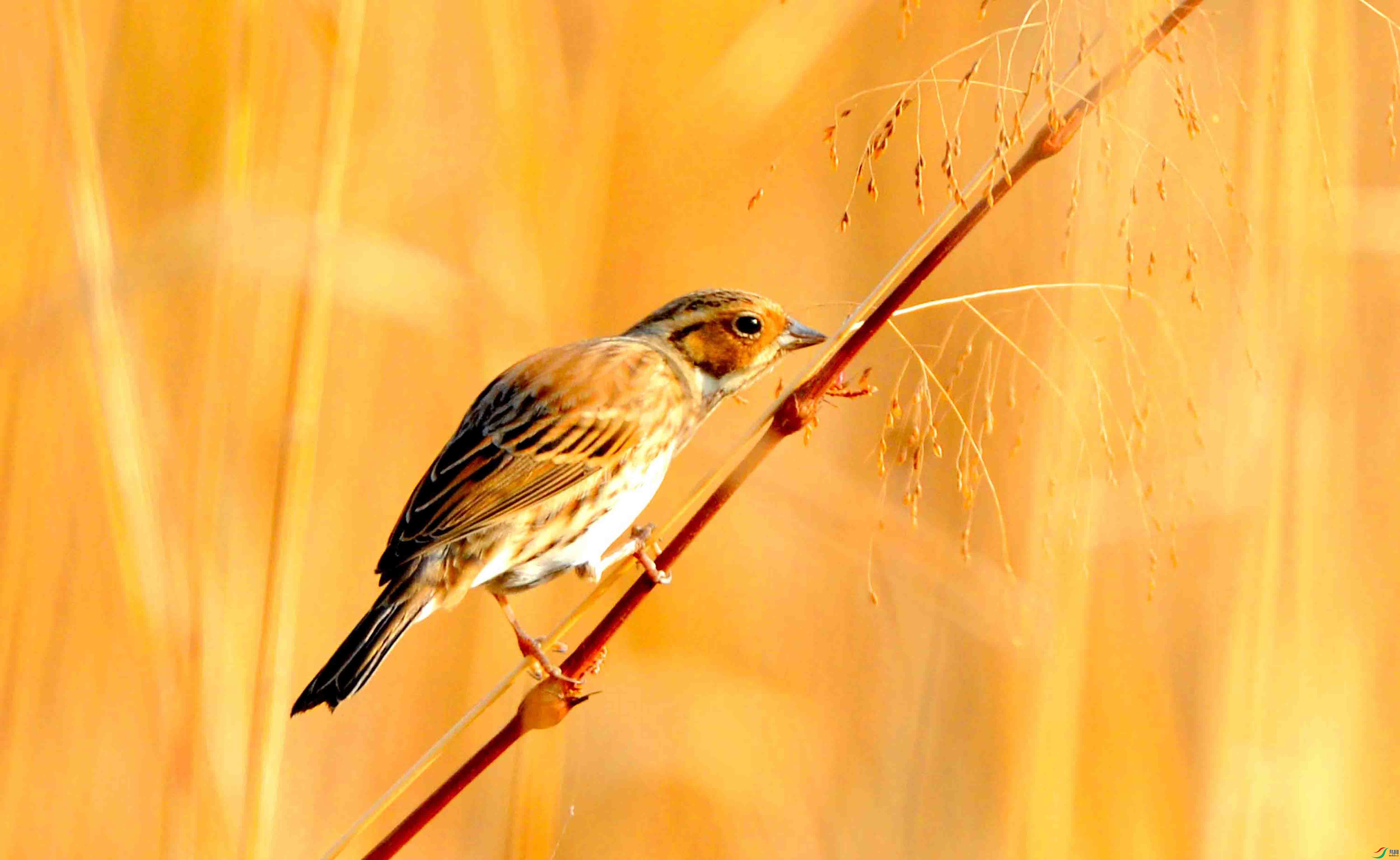 ����ü�ݞ� (2).JPG