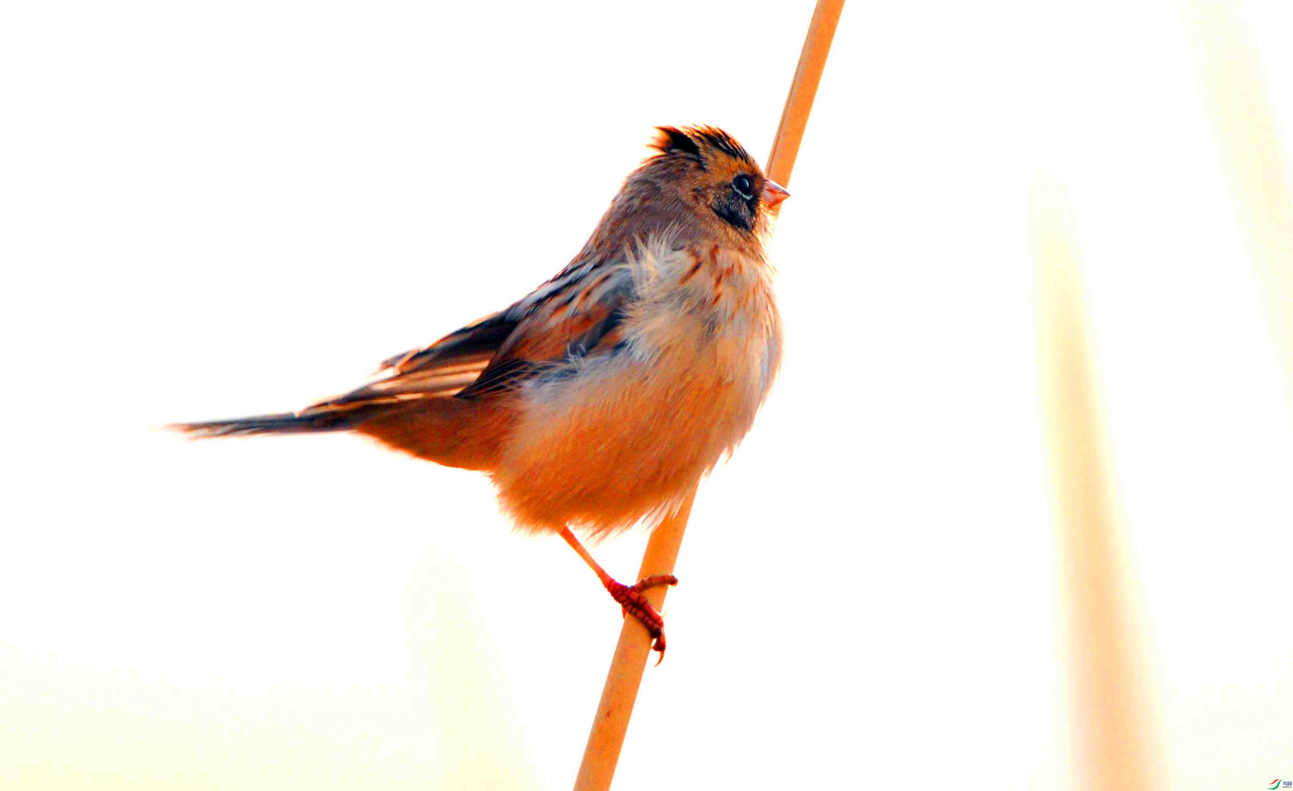 ����ü�ݞ� (7).JPG