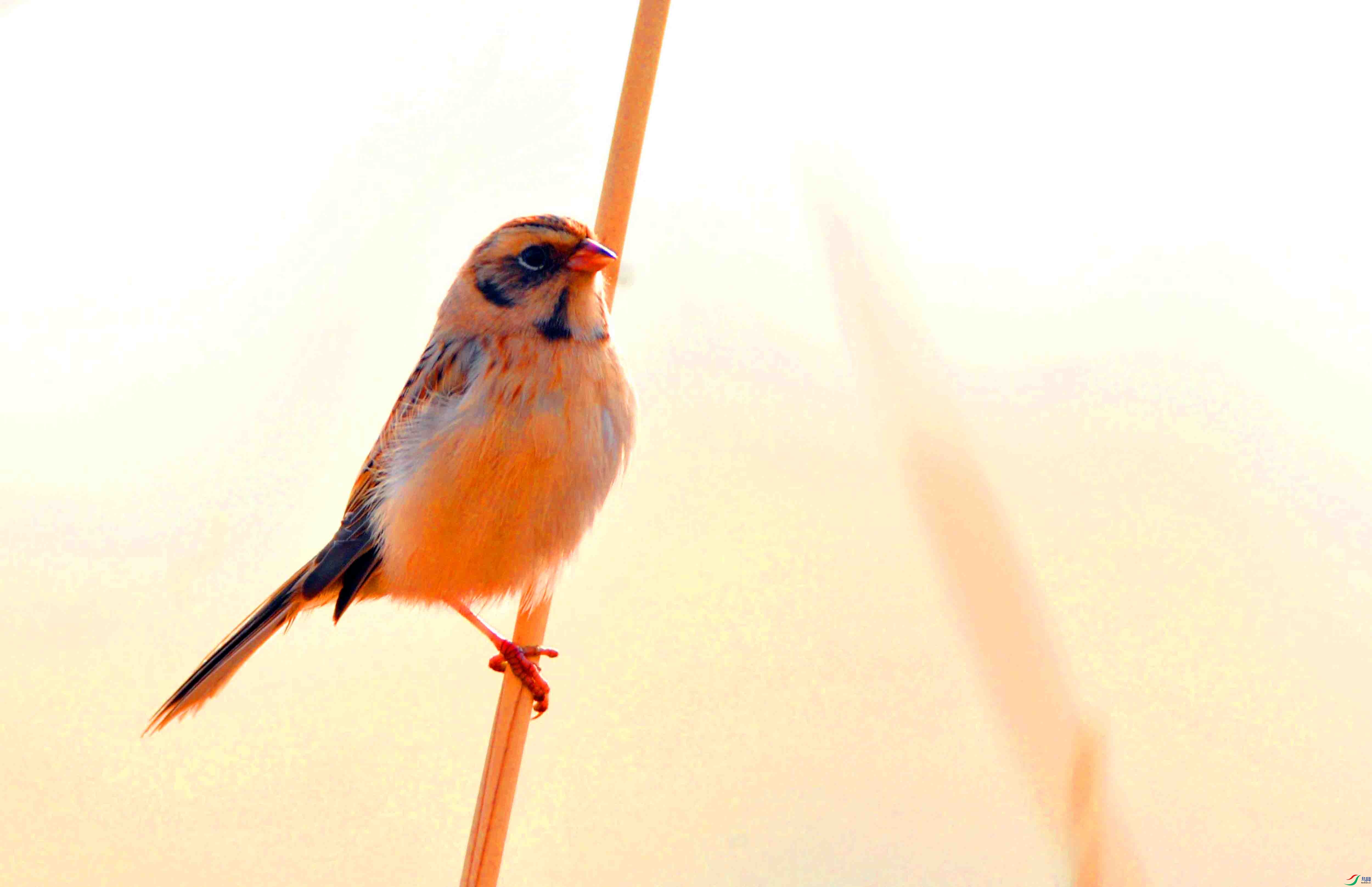 ����ü�ݞ� (5).JPG