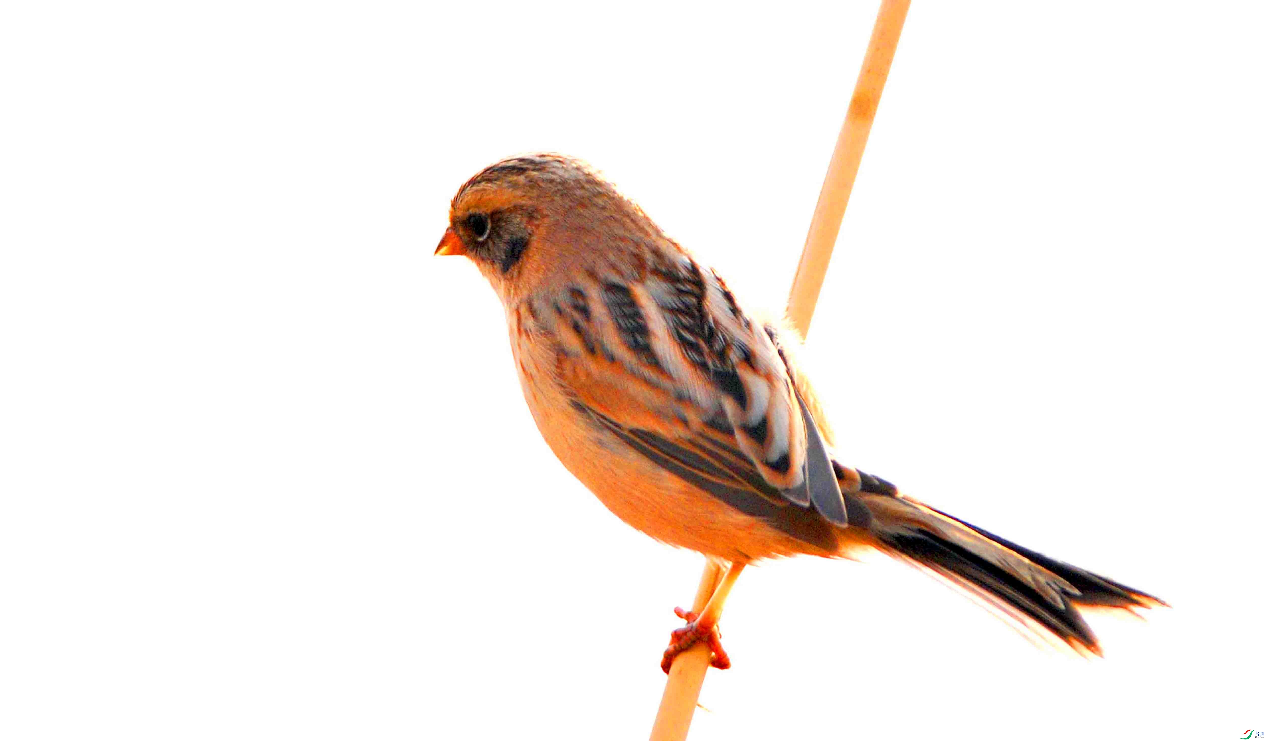 ����ü�ݞ� (8).JPG