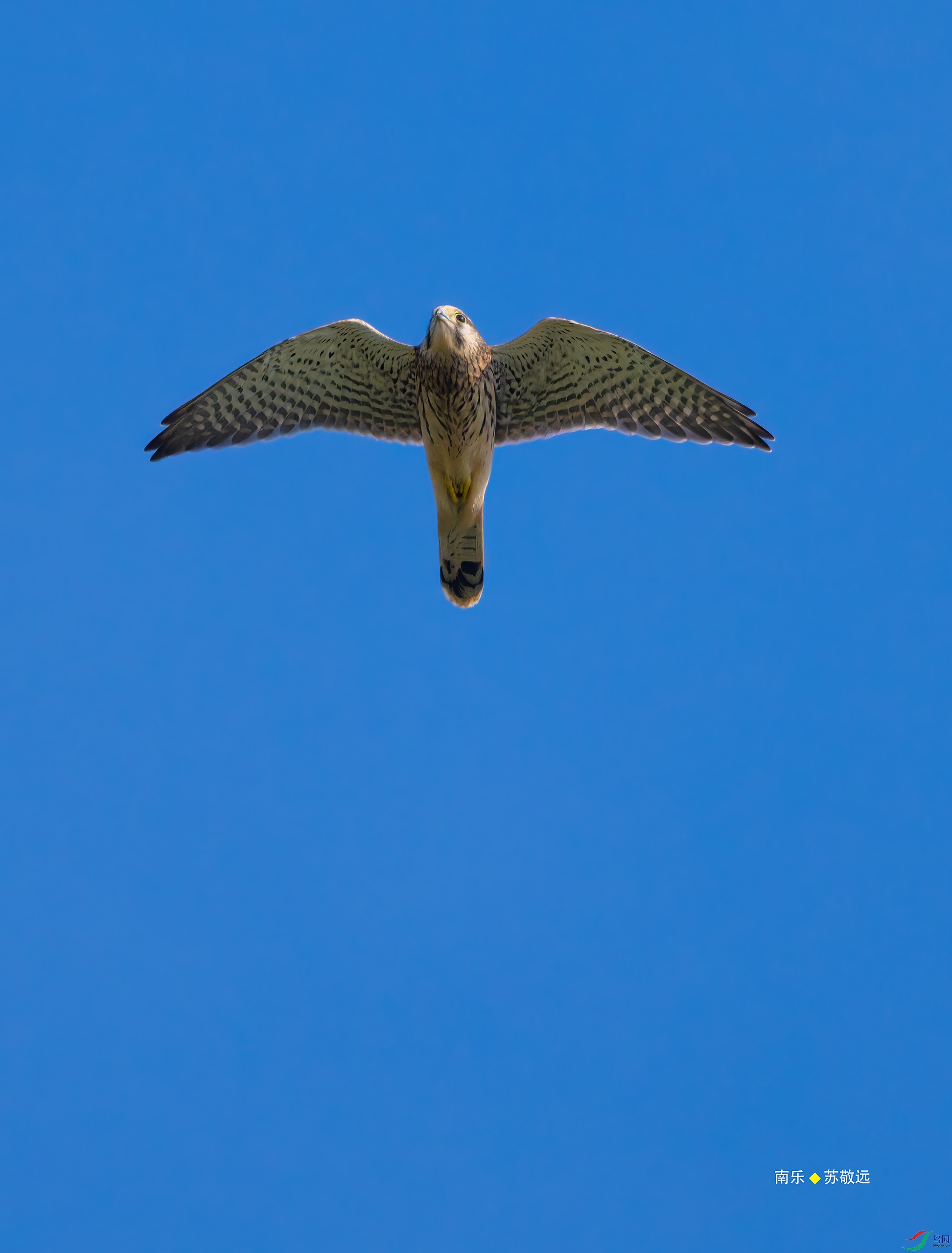 _DSC0861-DxO_С.jpg