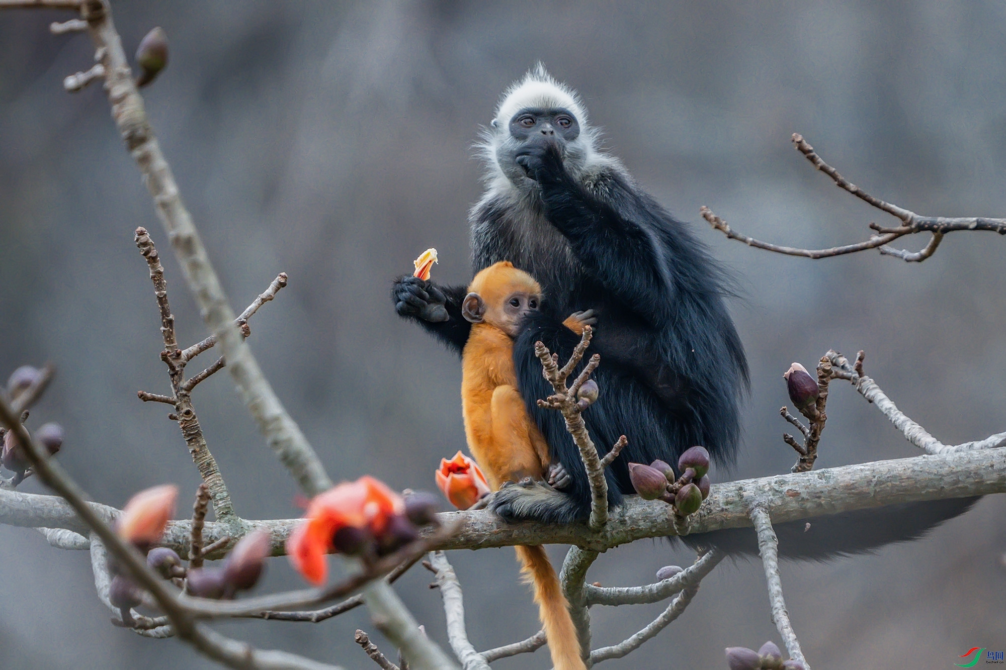 DSC03035 ����.jpg