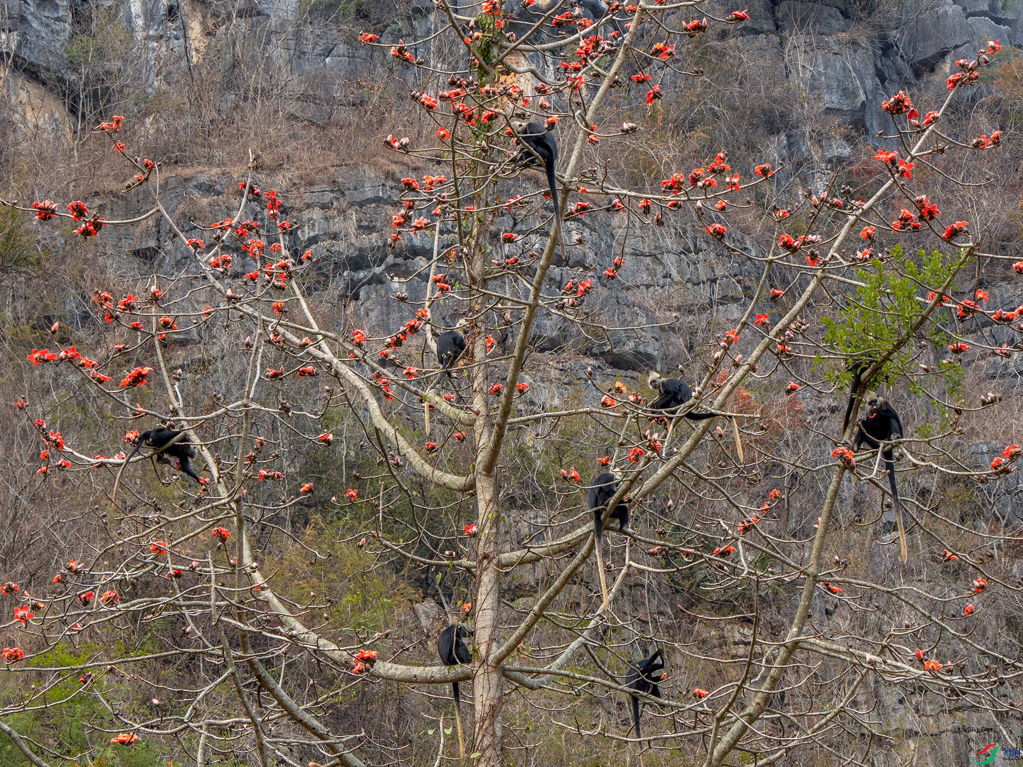 DSC05858 ����.jpg