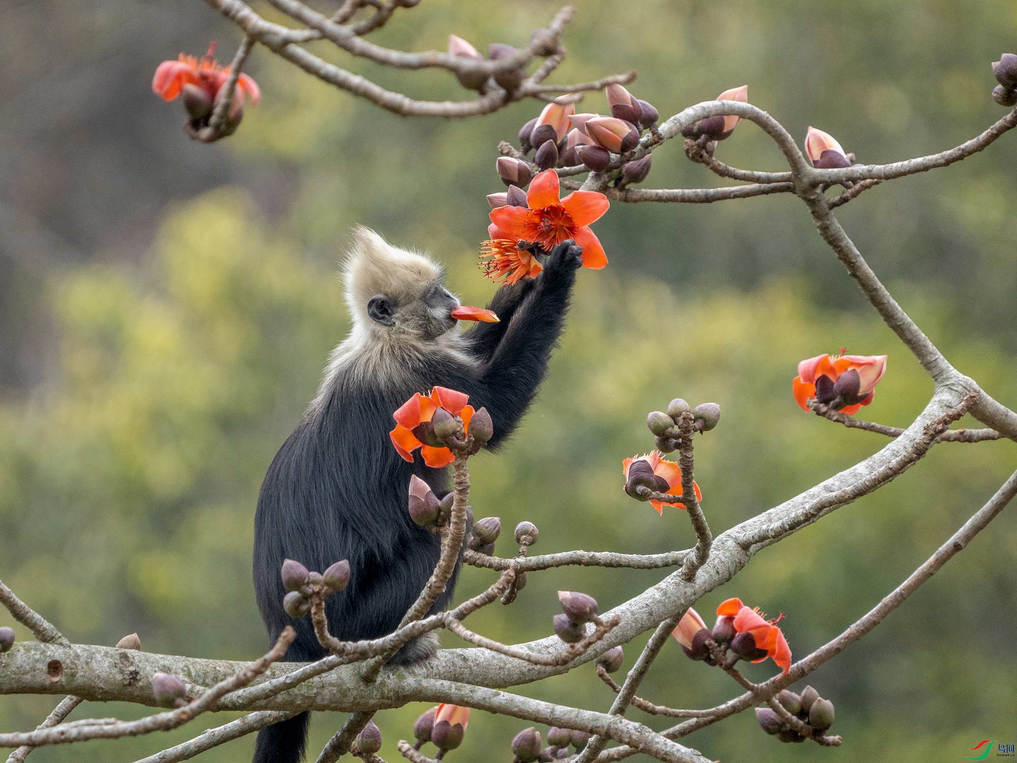 DSC02746 ����.jpg