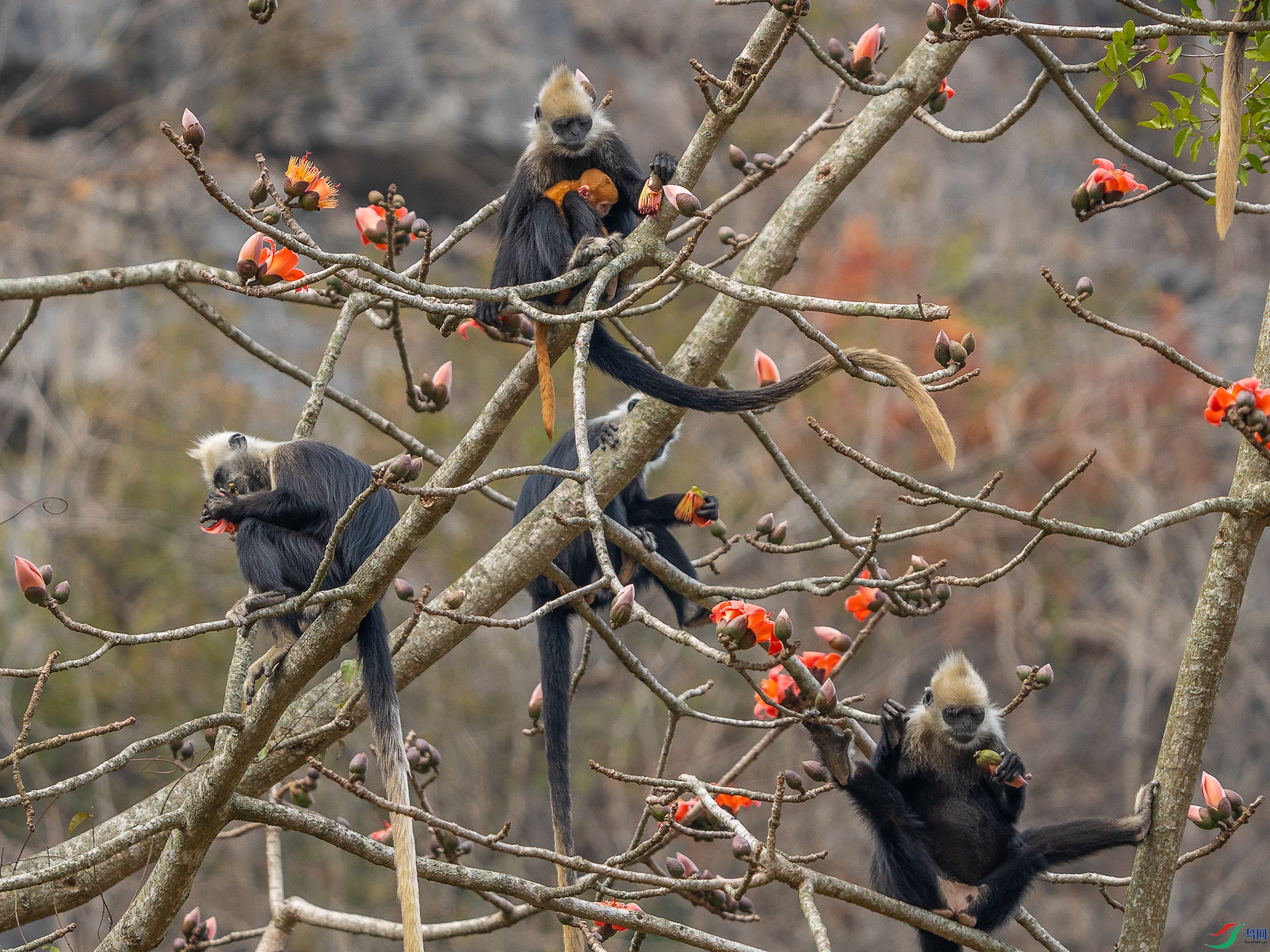 DSC05985 ����.jpg