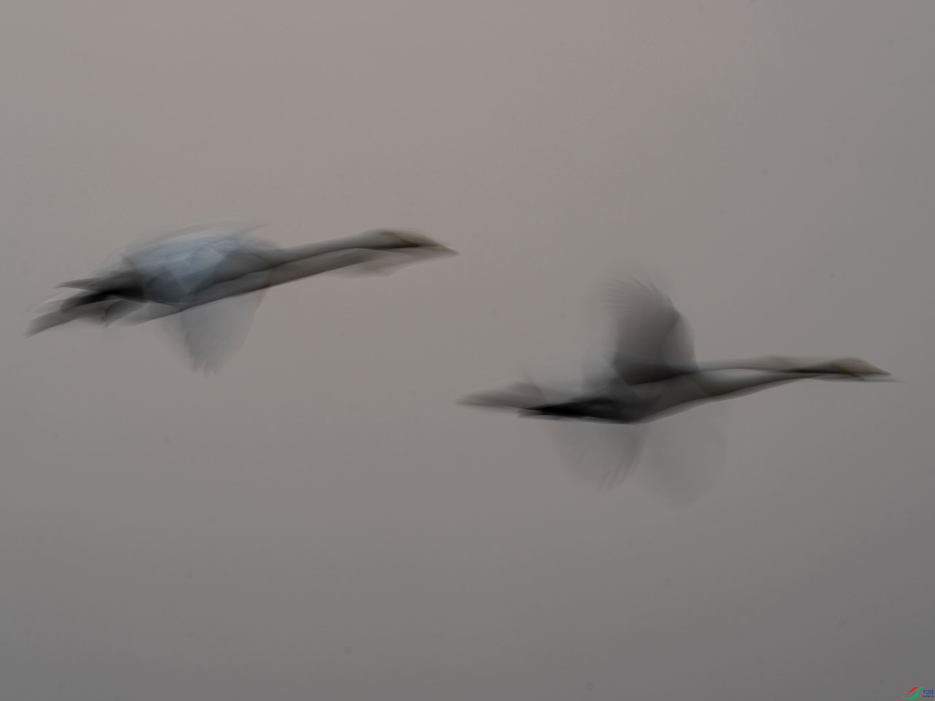����-02-5.jpg