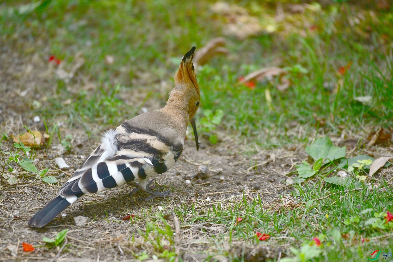 DSC_8042.JPG
