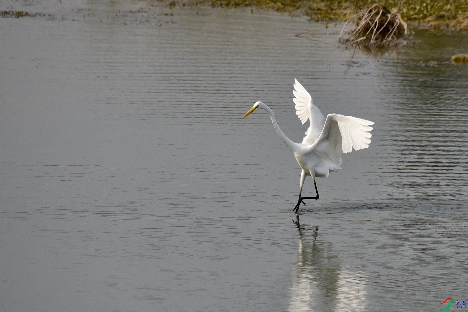 DSC_4202.JPG
