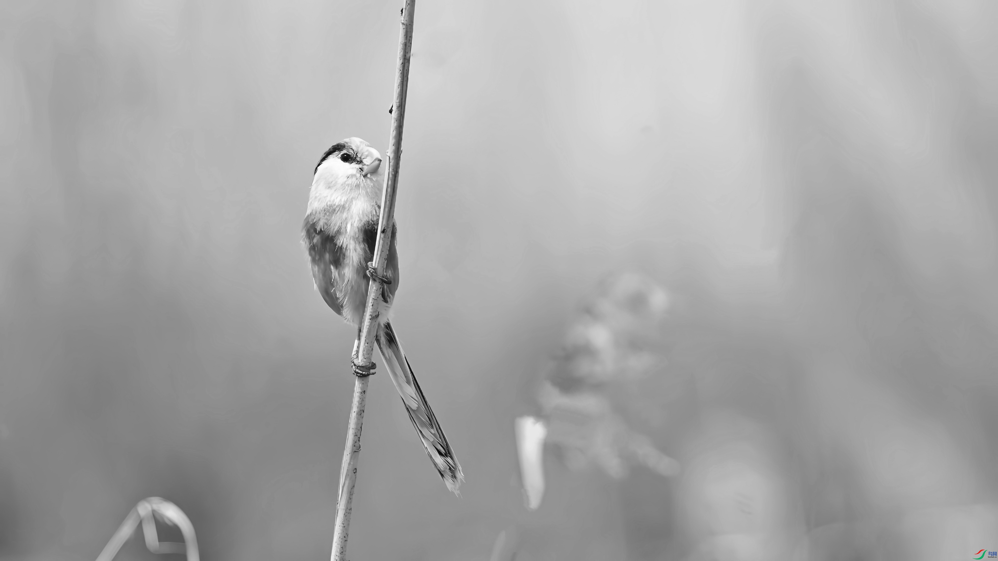 2F6A7293_���� (2)_����.jpg