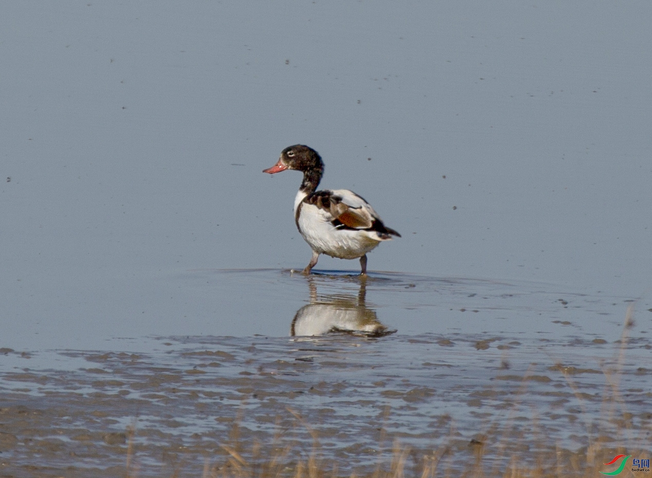 673A9390 ����.jpg