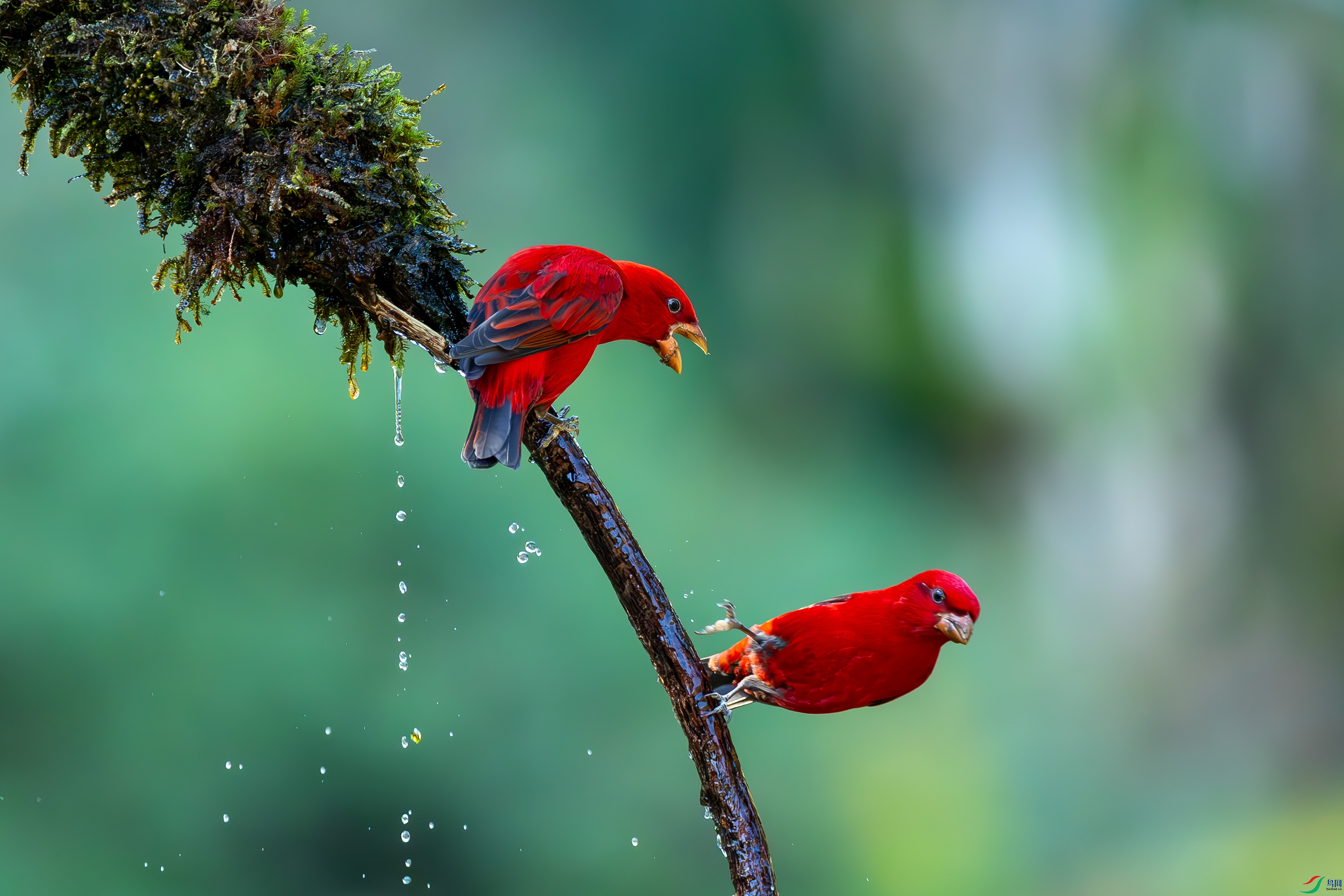 _72A0032-����ǿ-NR.JPG