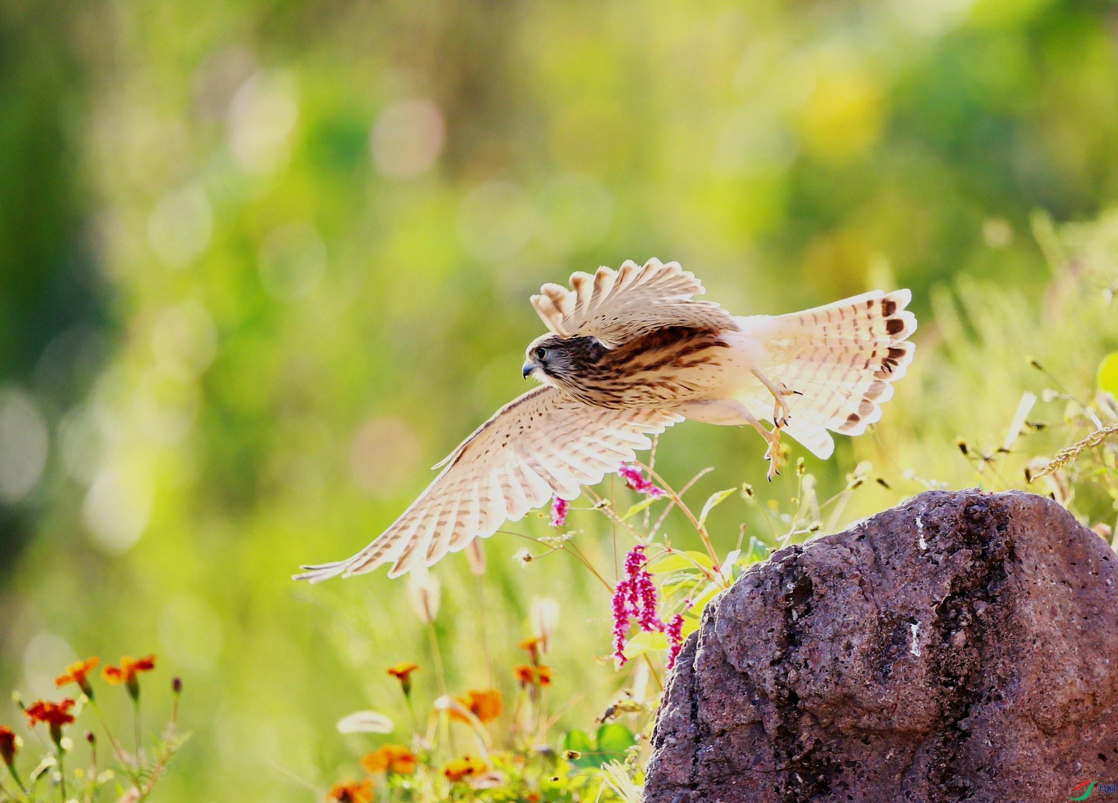 ����  (118).JPG