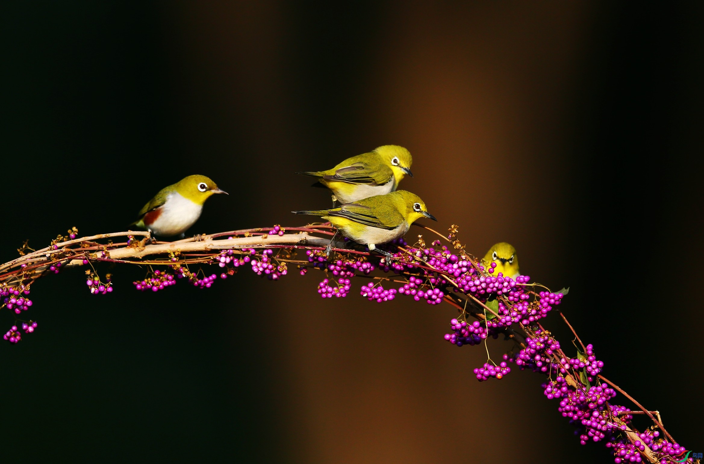 ���������� (6).JPG