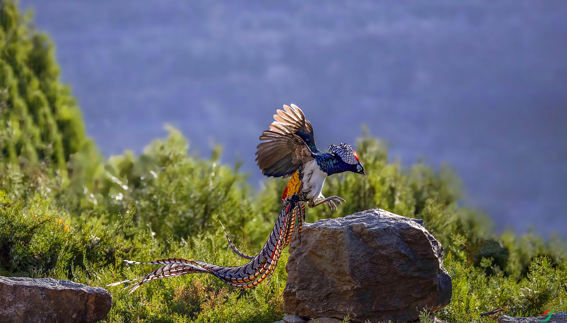 _07A0424 ����-Sh----1 .jpg